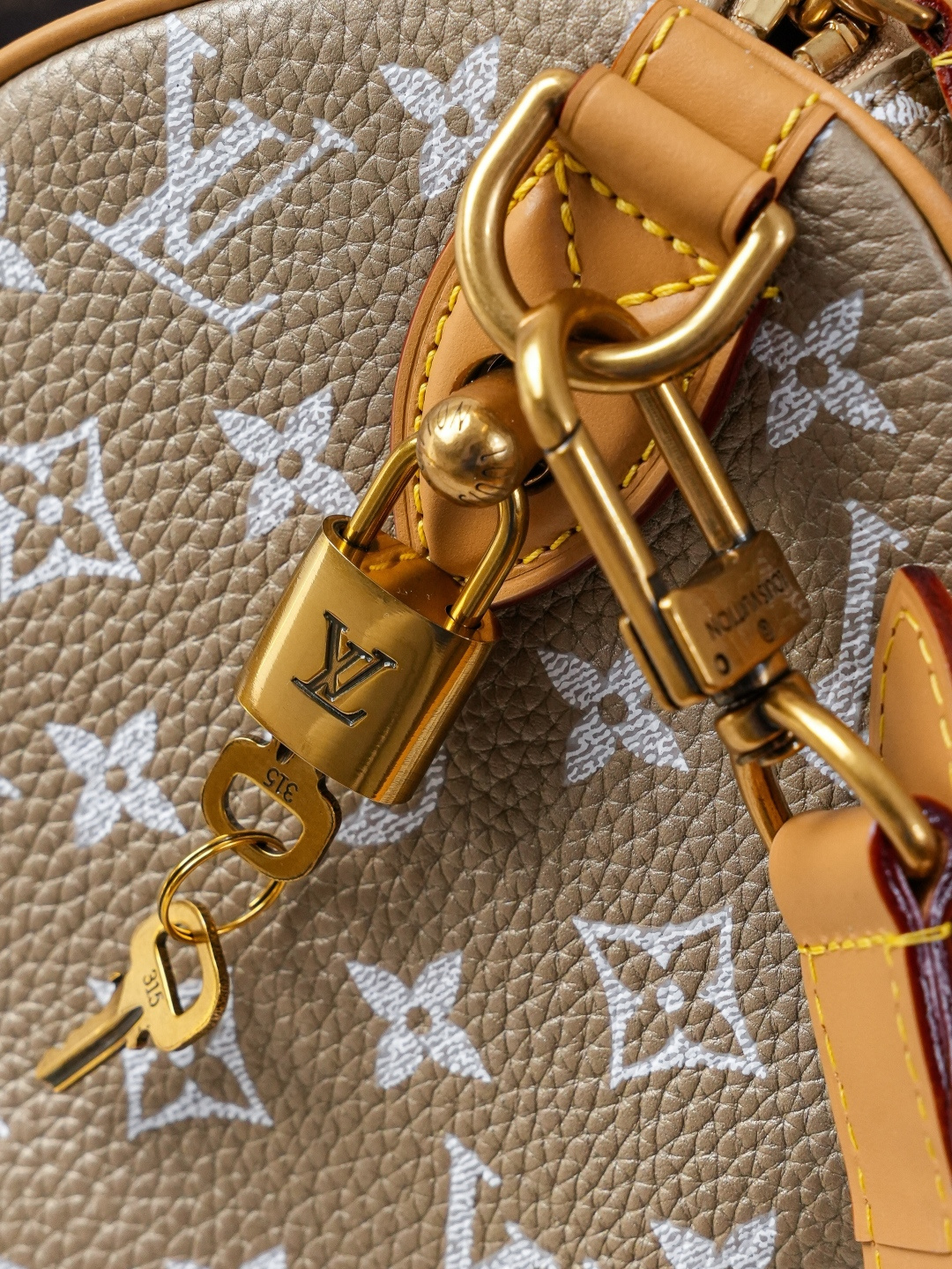 Speedy Bandoulière 25 Monogram Leather Handbag - Image 6