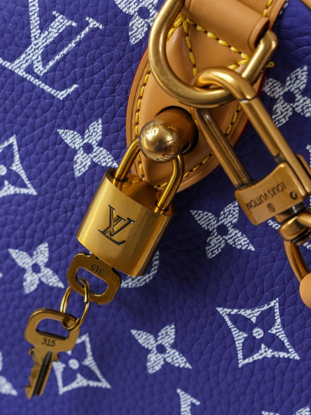 Louis Vuitton Speedy Bandoulière 25 Monogram Leather Handbag - Image 6