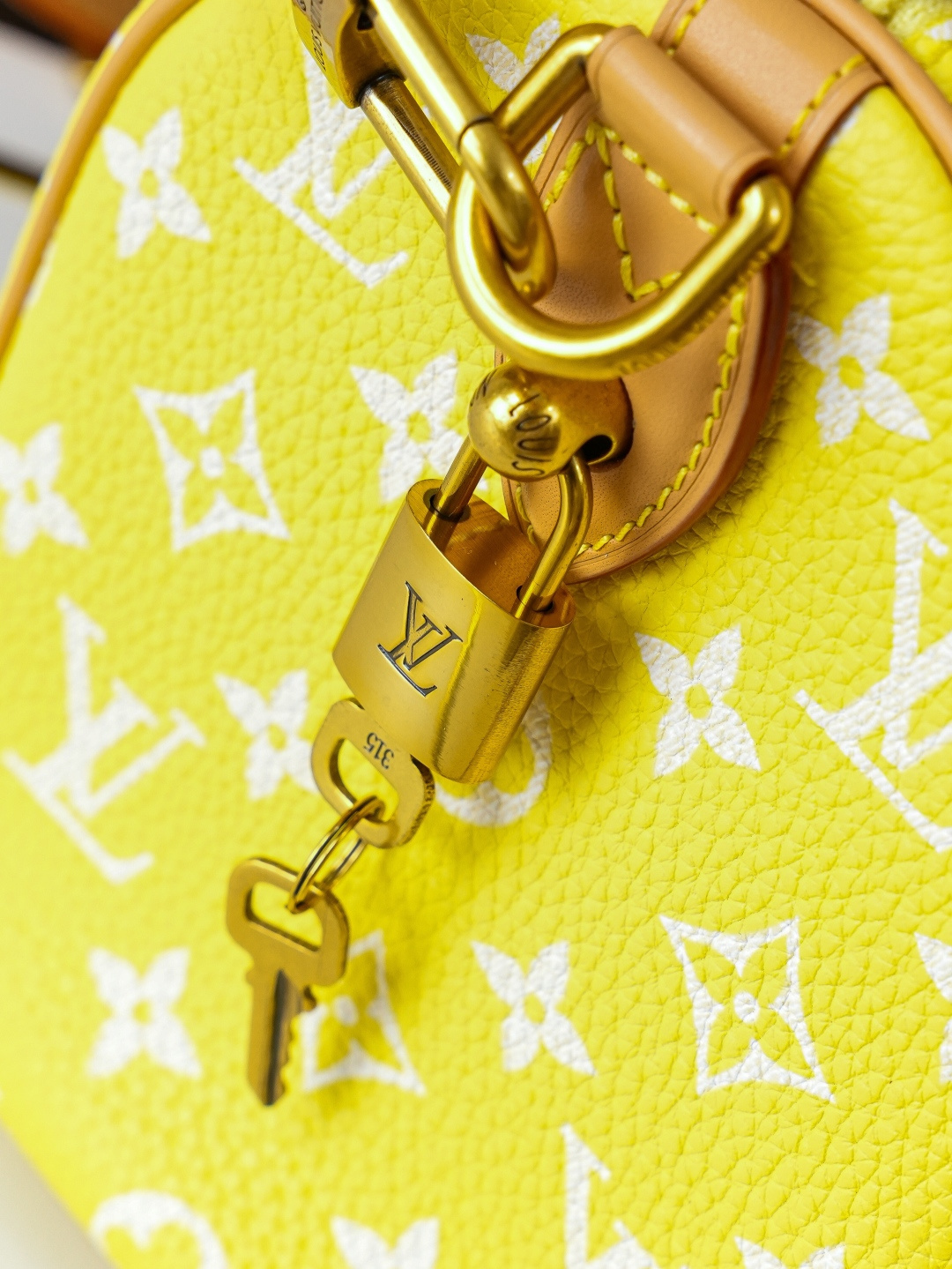 Speedy Bandoulière 25 Monogram Leather Handbag - Image 6