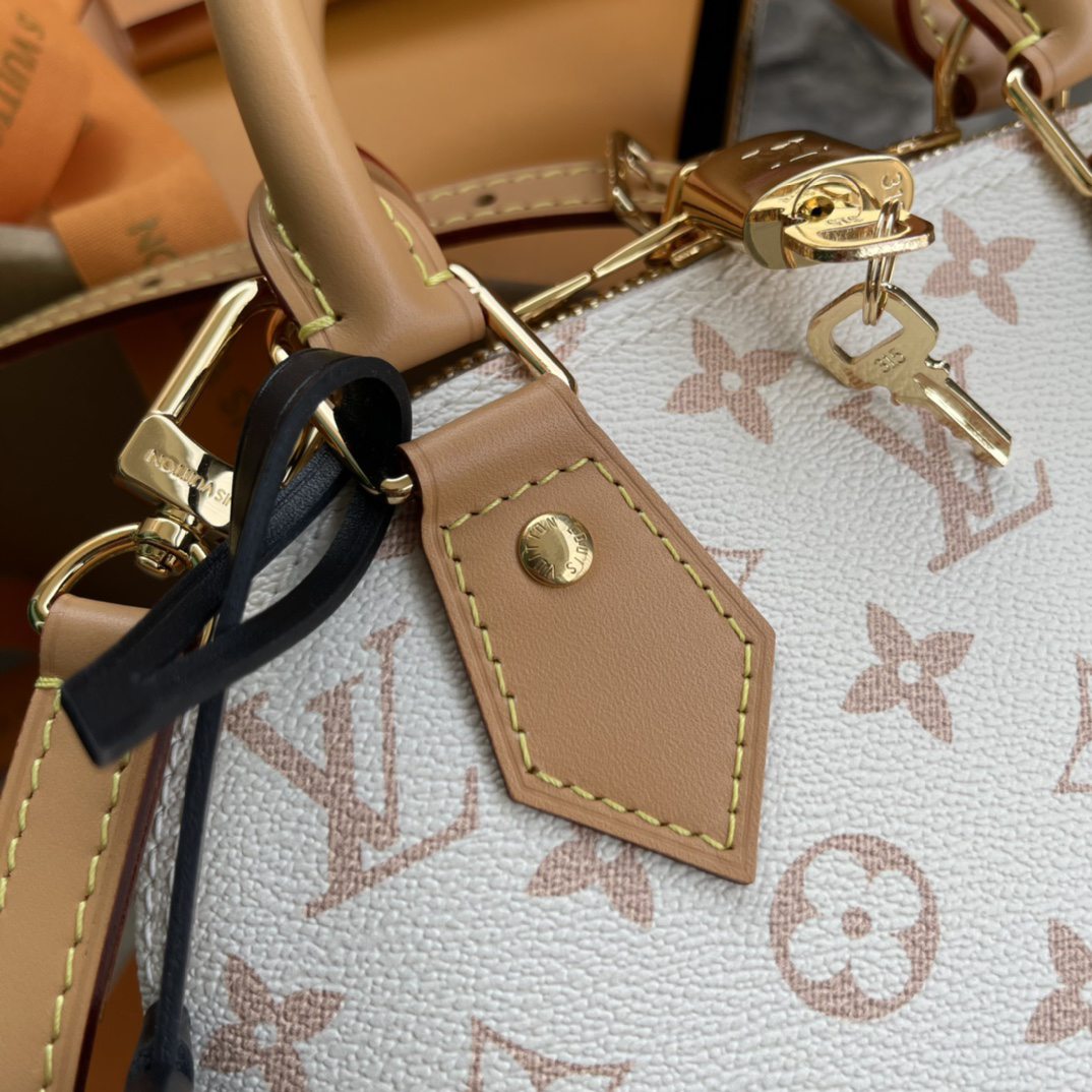 Louis Vuitton Alma BB Monogram Dune Crossbody Bag M46922 - Image 6