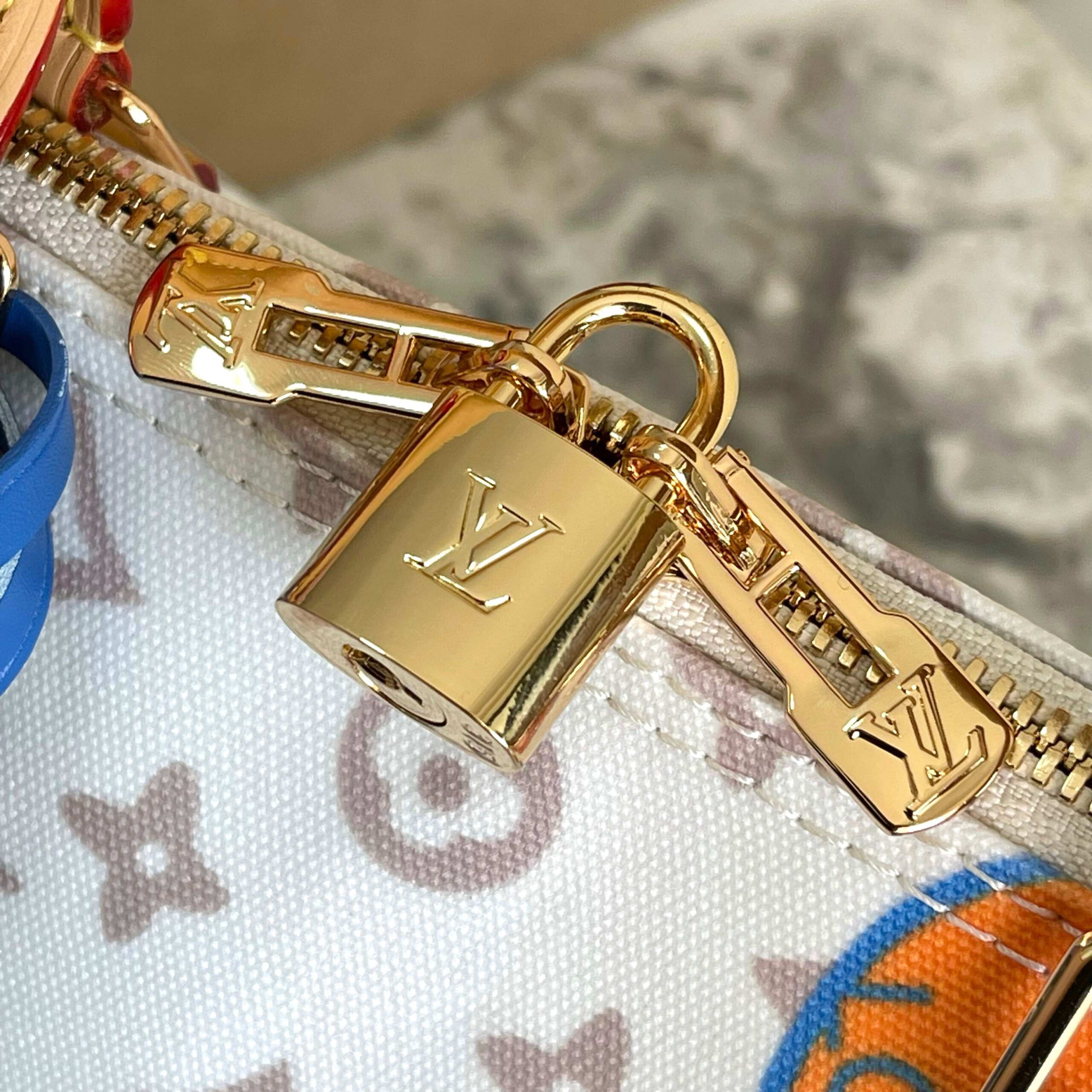 Louis Vuitton Speedy Soft 30 Handbag in Monogram Dune - Image 6