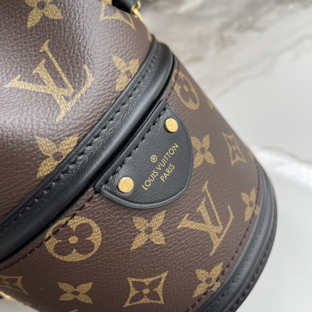 Louis Vuitton Canoé Monogram Leather Crossbody Bag - Image 6