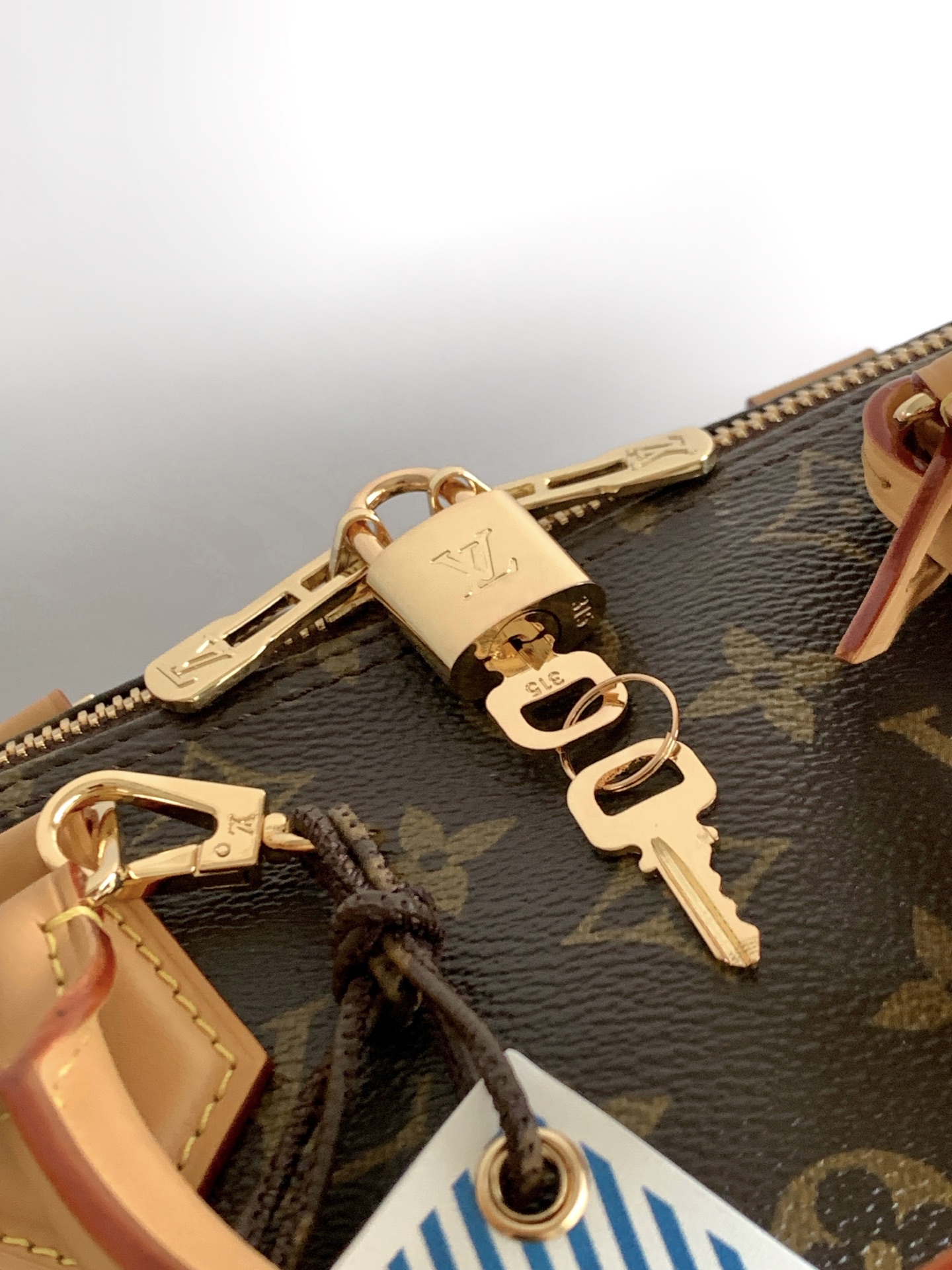 Louis Vuitton Speedy Soft 30 Handbag from the Paris À Vélo Collection - Image 6