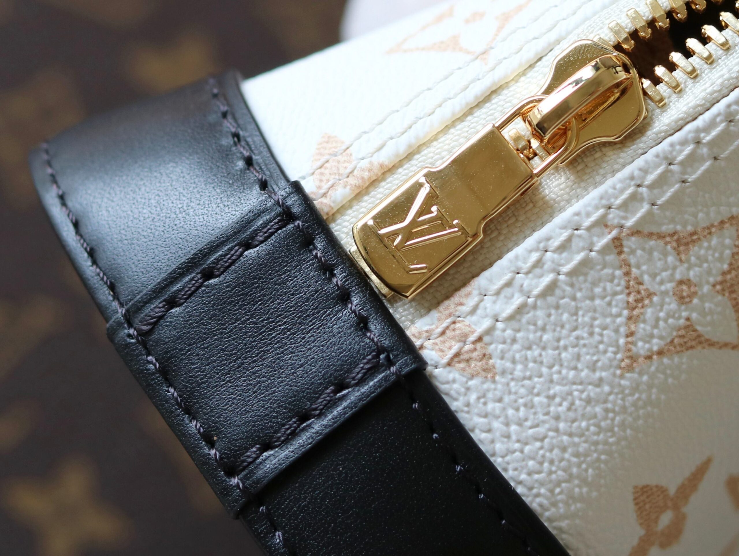 Louis Vuitton Nano Alma Crossbody Bag in Monogram Dune Canvas - Image 6