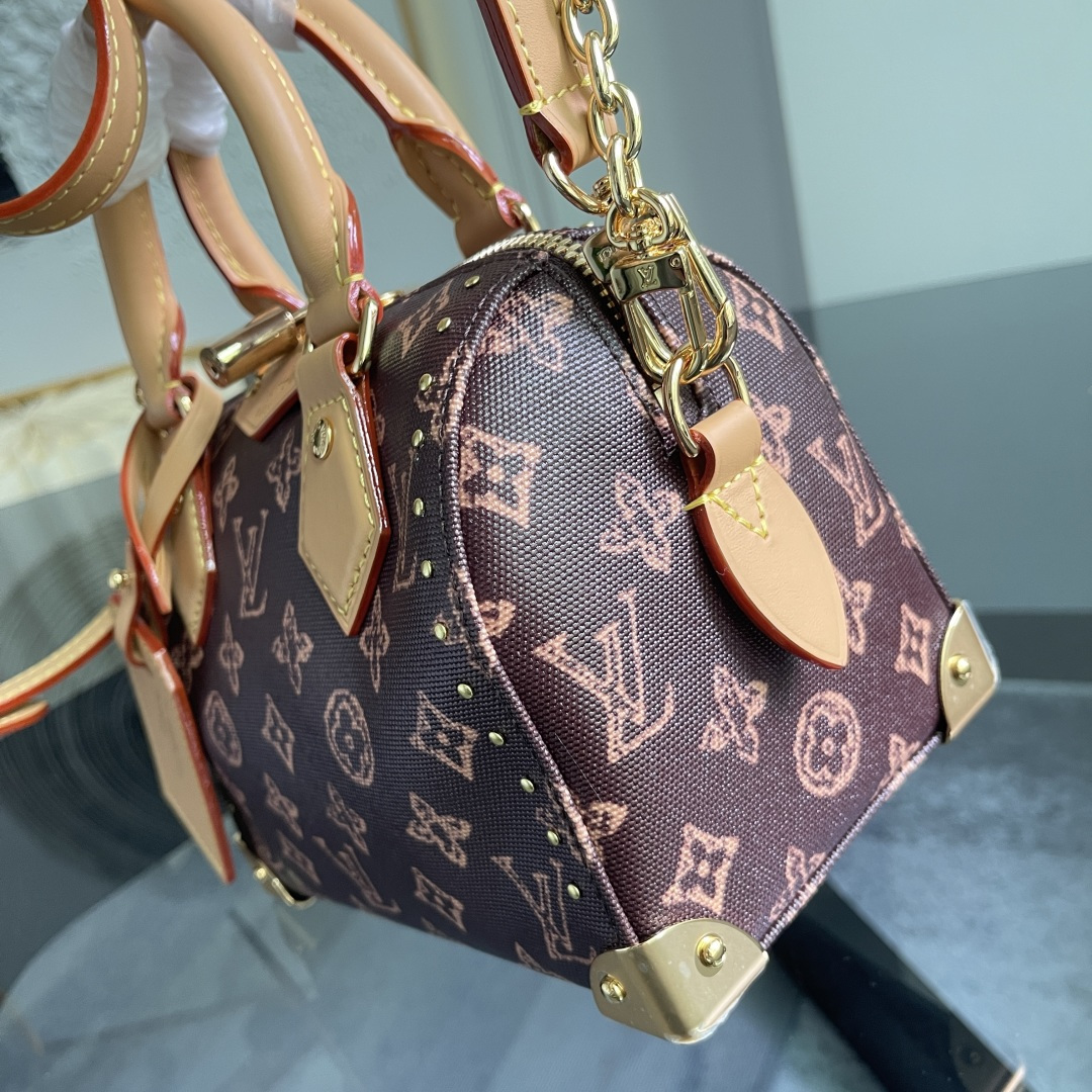 Louis Vuitton Speedy Trunk 20 Monogram Origine Handbag - Image 6