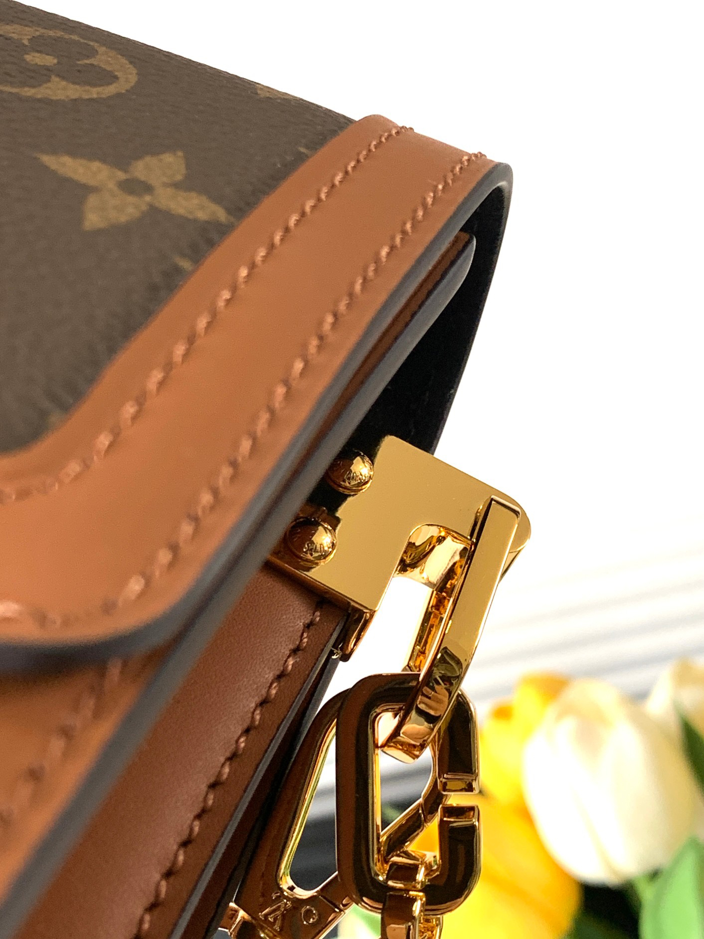 Louis Vuitton Dauphine Medium Crossbody Bag - Image 6