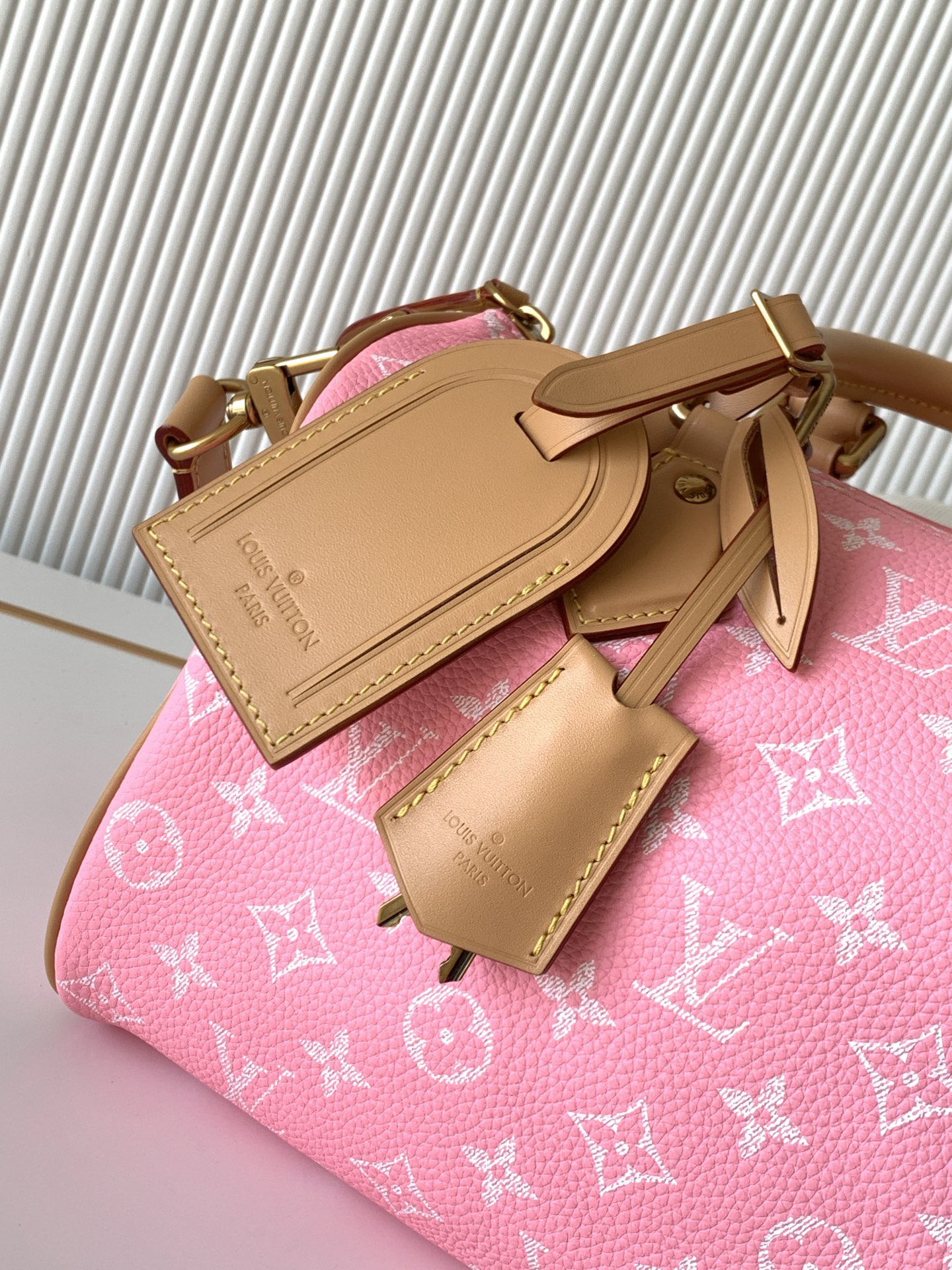 Louis Vuitton Speedy Bandoulière 25 Leather Crossbody Bag - Image 6