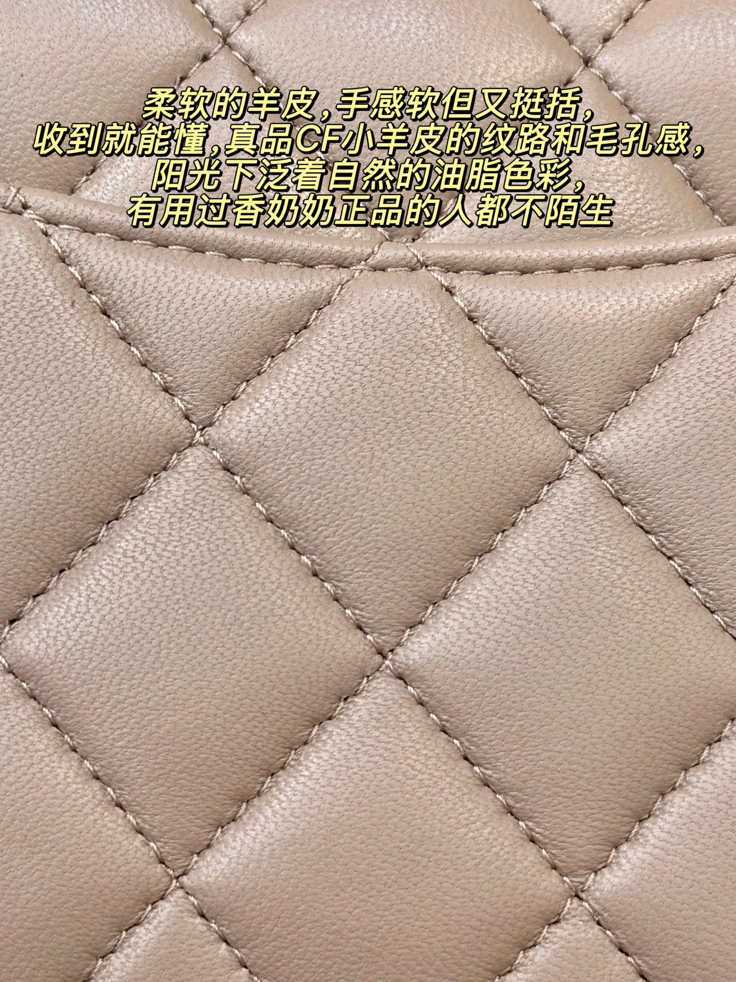 Chanel Classic Flap Mini Crossbody Bag – Fall/Winter 2025 - Image 6