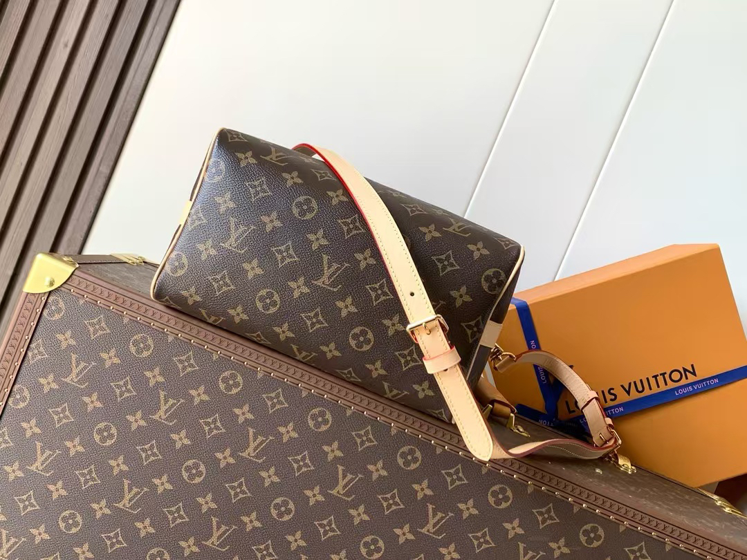 Louis Vuitton Speedy Bandouliere 25 Monogram Handbag - Image 7