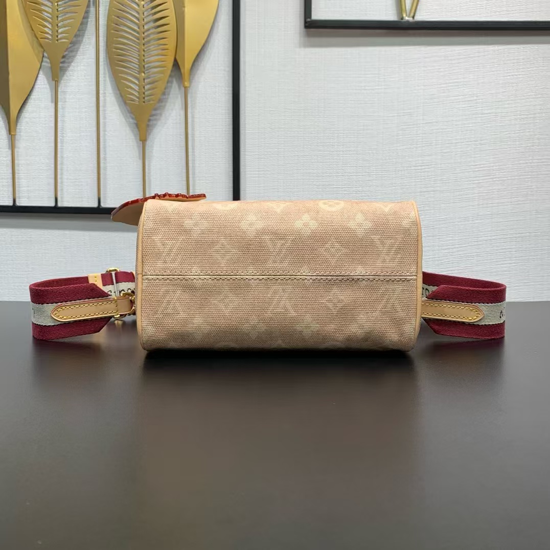 Louis Vuitton Speedy 20 Bandouliere Meowgram Crossbody Bag - Image 7
