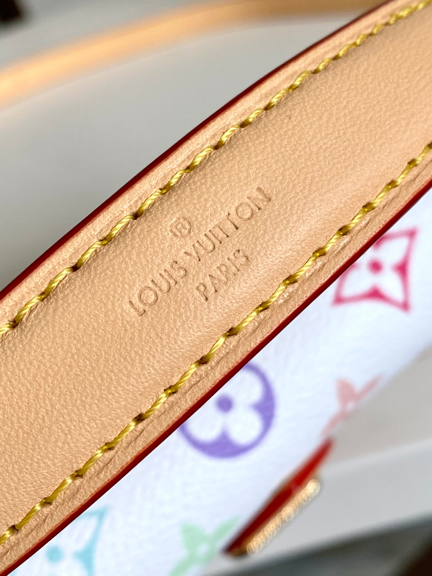Louis Vuitton x Takashi Murakami Nano Diane Crossbody Bag - Image 7
