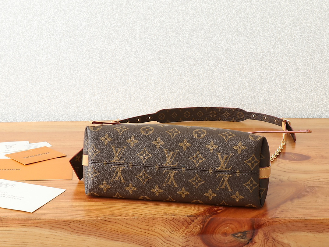 CarryAll BB Monogram Canvas Crossbody Bag - Image 7