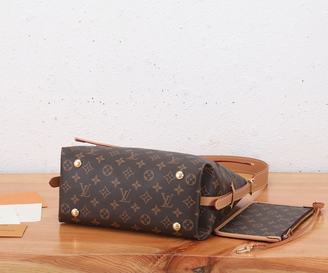 Louis Vuitton CarryAll PM Handbag M46203 - Image 7