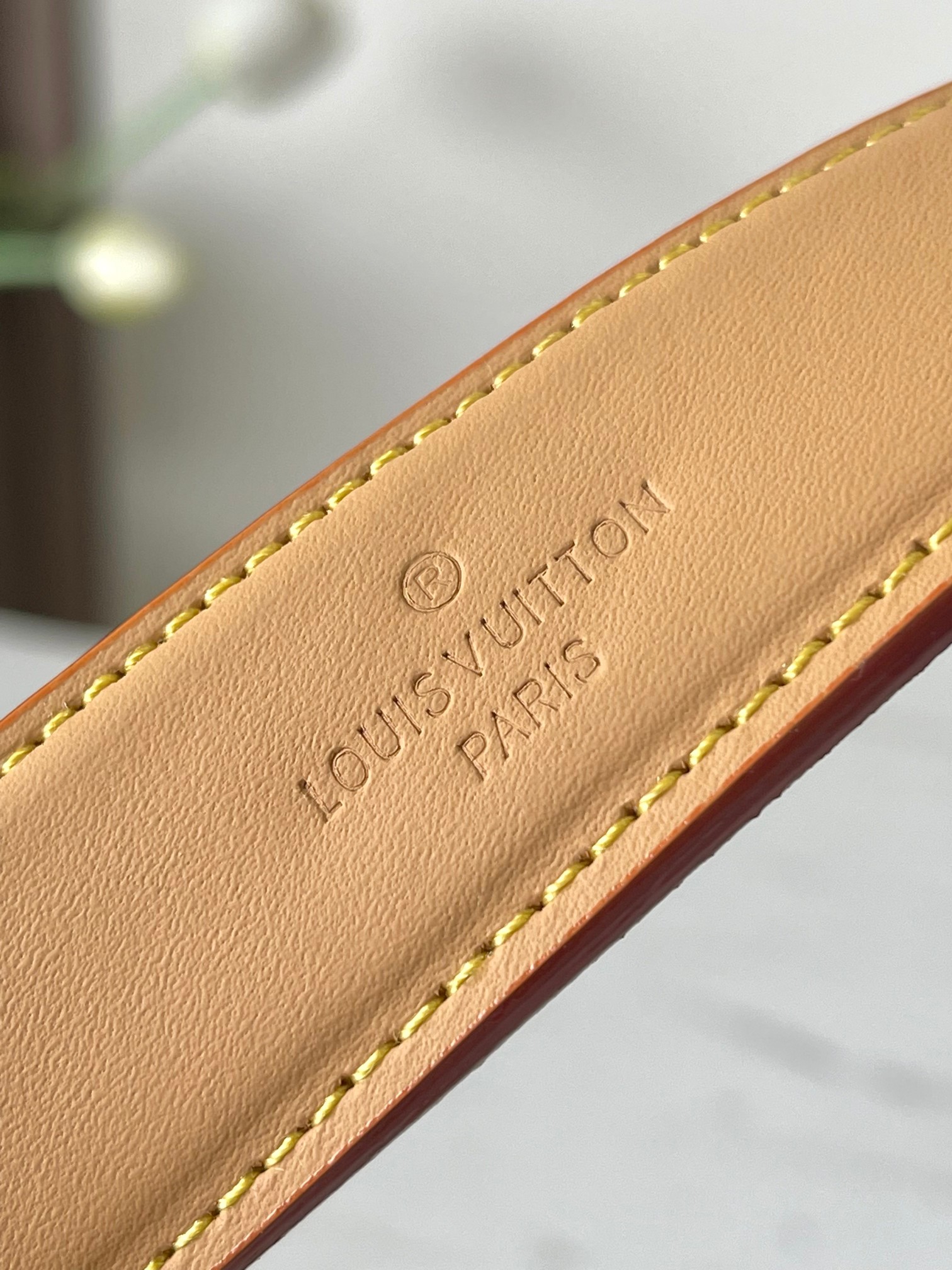 Louis Vuitton Side Trunk Medium Shoulder Bag in Monogram Dune Canvas, M26287 - Image 7