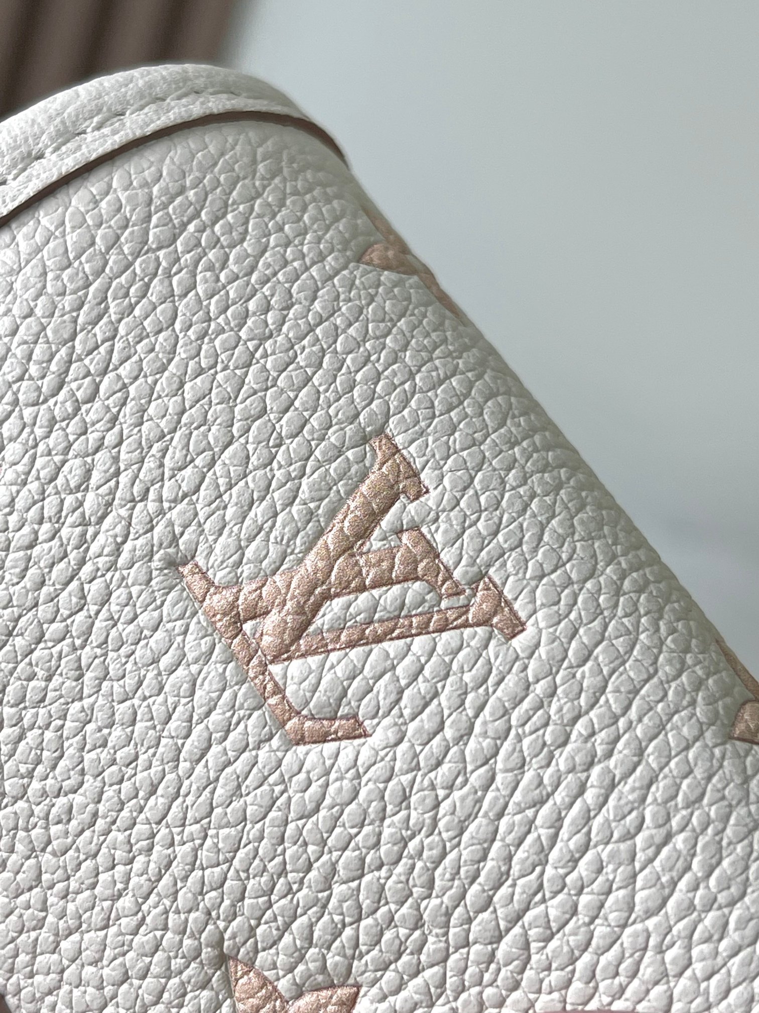 Louis Vuitton Nano Diane Crossbody Bag - Image 7