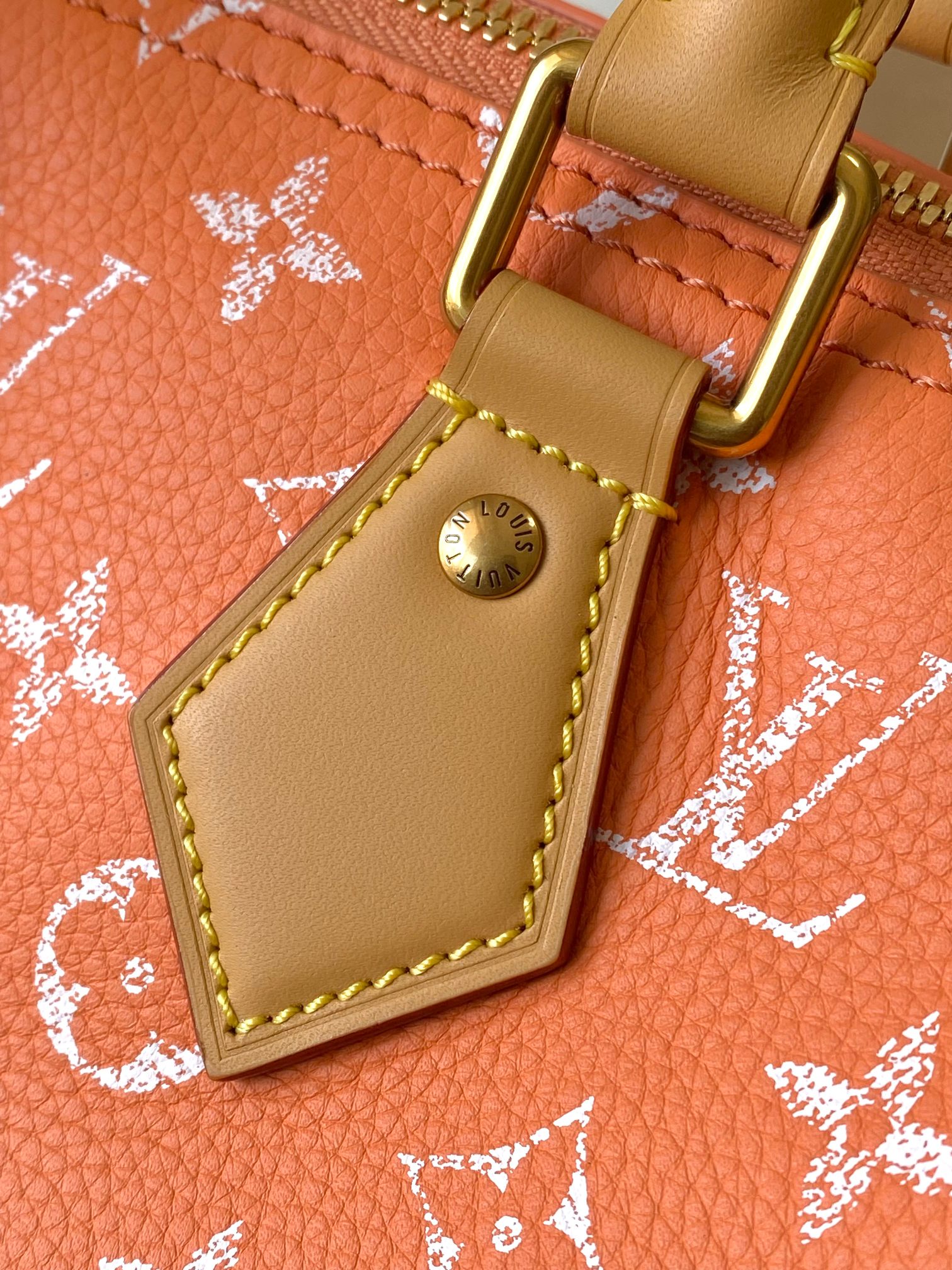 Louis Vuitton Speedy Bandoulière 25 Leather Handbag - Image 7