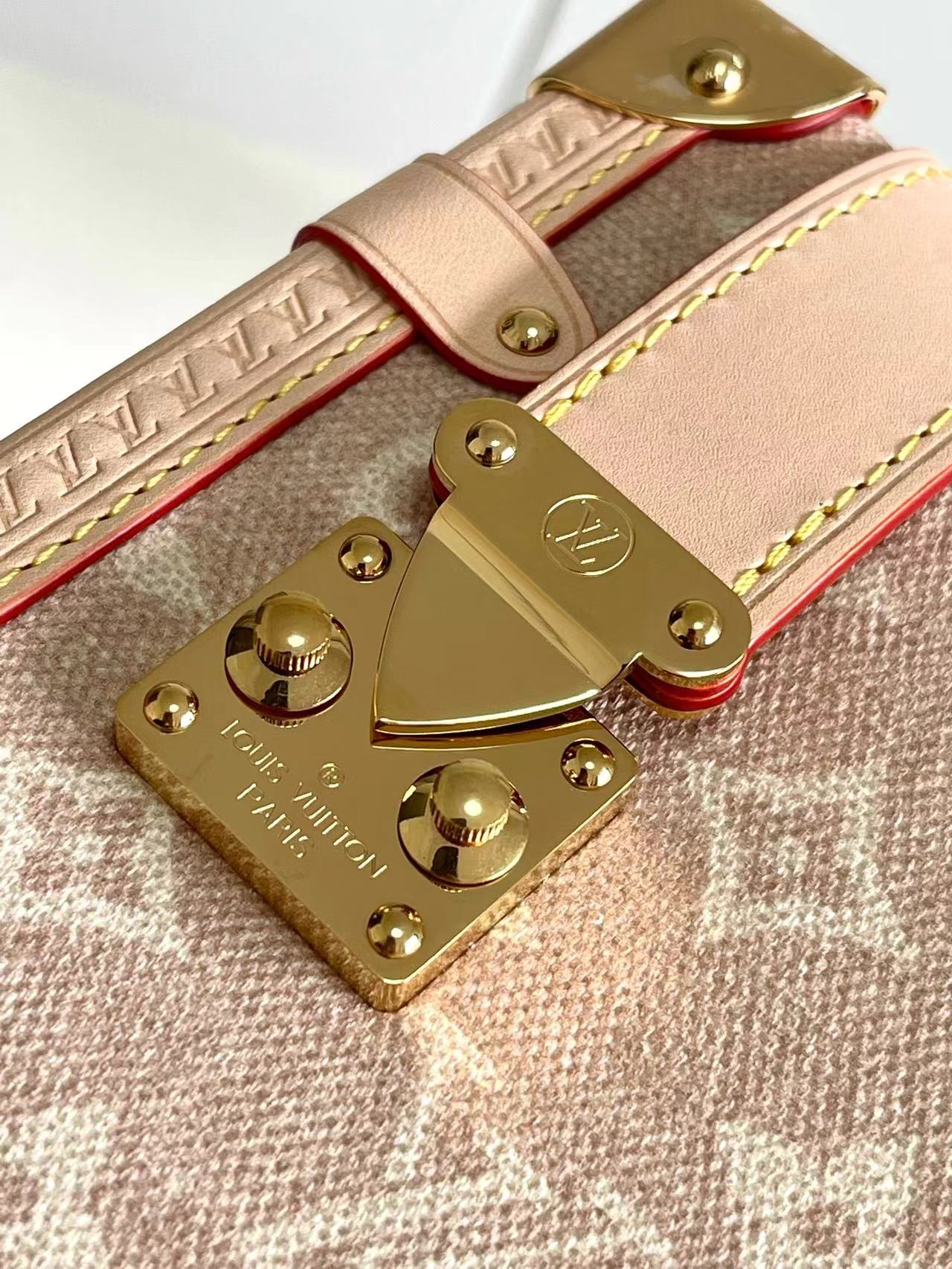 Louis Vuitton Side Trunk Large Shoulder Bag in Meowgram Canvas - Image 7