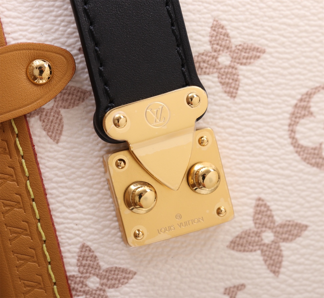 Louis Vuitton Side Trunk PM Monogram Handbag - Image 7