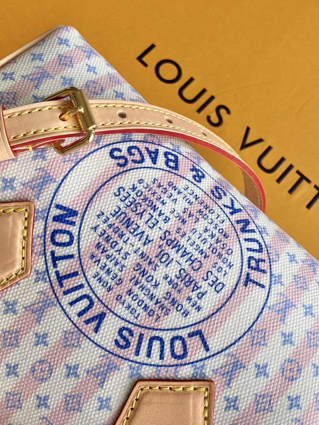 Louis Vuitton Speedy Bandoulière 20 Stamp Monogram Canvas Crossbody Bag - Image 7