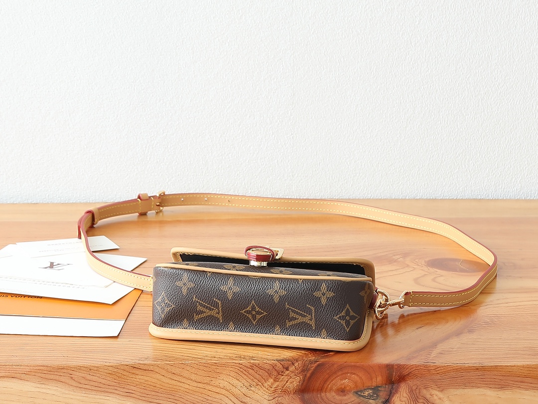 Louis Vuitton Nano Diane Monogram Canvas and Leather Bag - Image 7