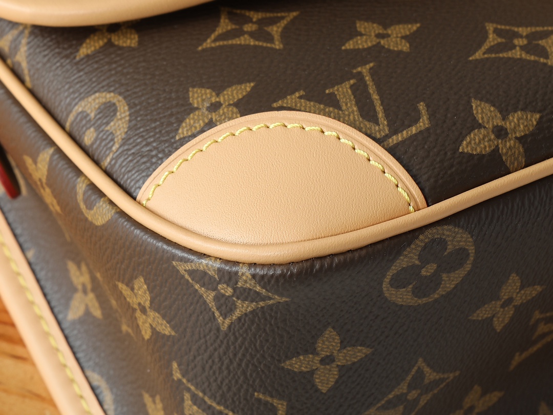 Louis Vuitton Diane Monogram Canvas Shoulder Bag M45985 - Image 7