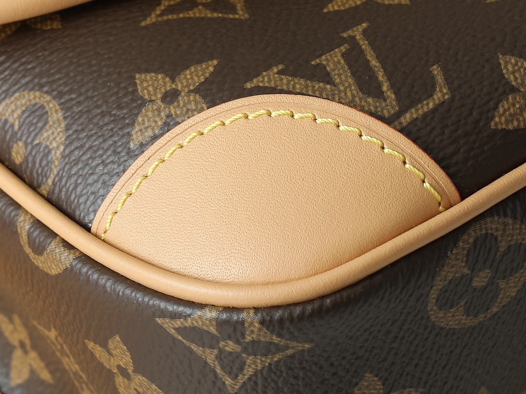 Louis Vuitton Diane Monogram Shoulder Bag M46049 - Image 7
