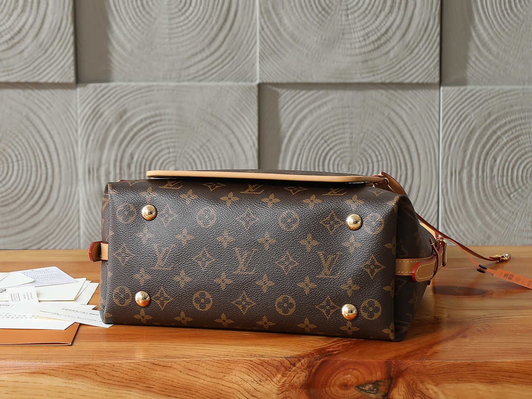 Louis Vuitton CarryAll Small Handbag in Monogram Canvas - Image 7