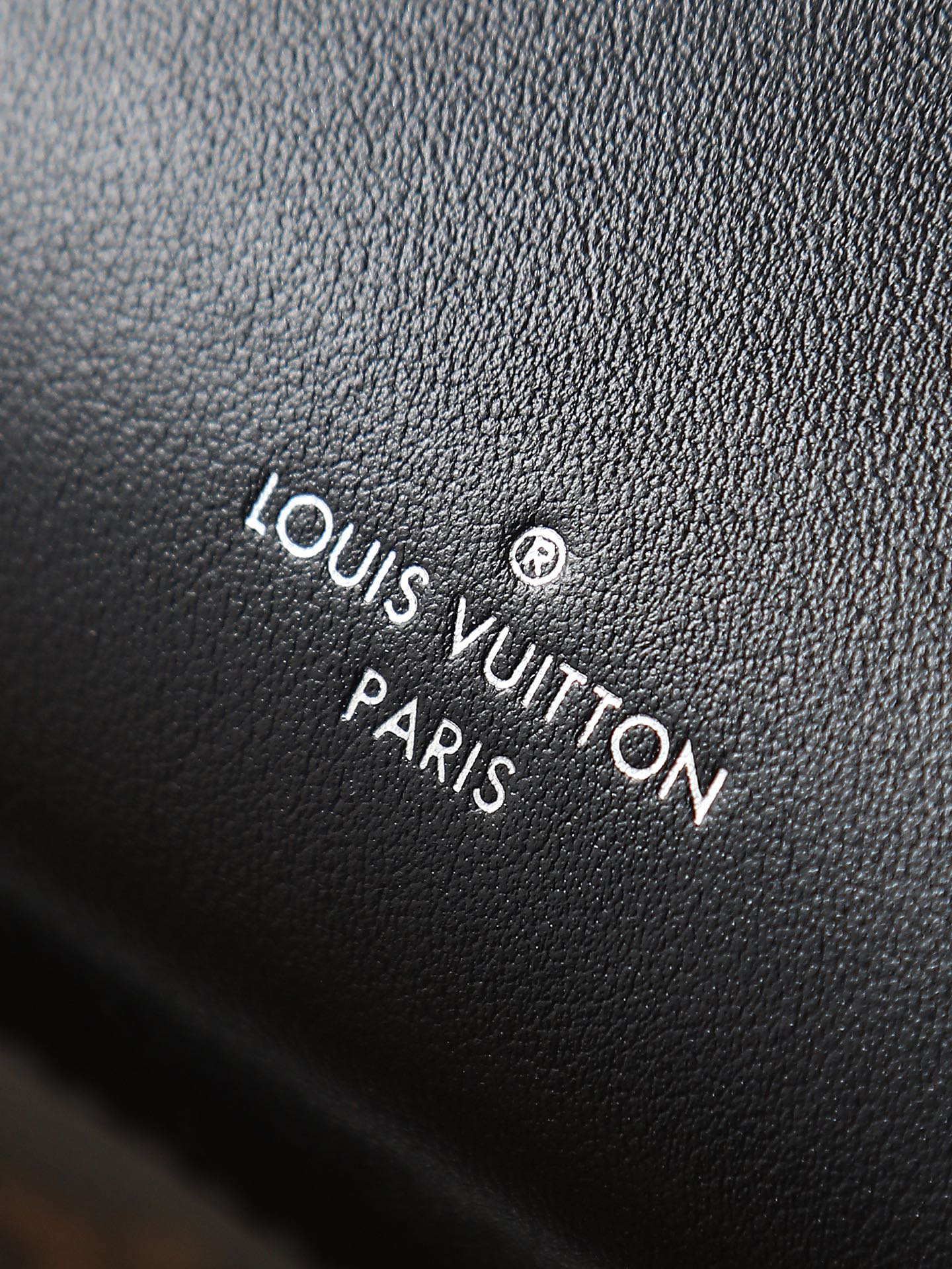 Louis Vuitton Side Trunk Vibe Leather Bag M15195 - Image 7