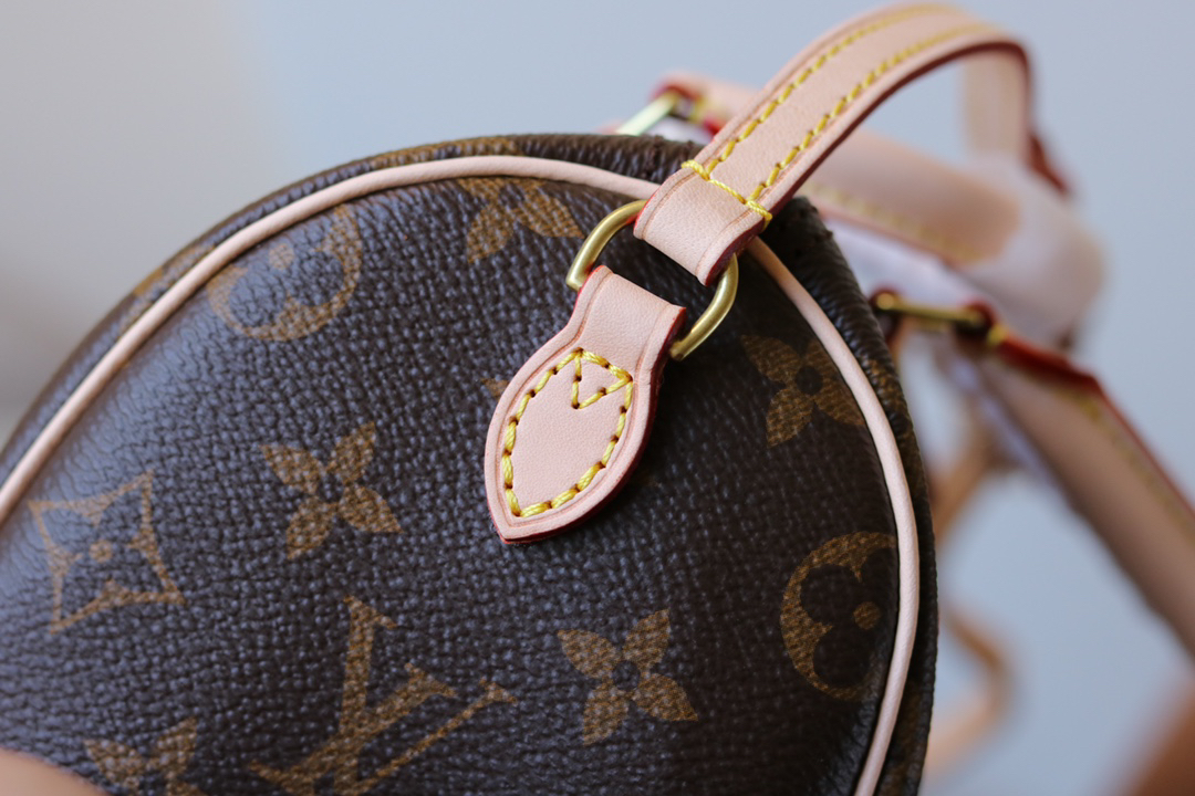 Louis Vuitton Nano Speedy Monogram Canvas Crossbody Bag - Image 7