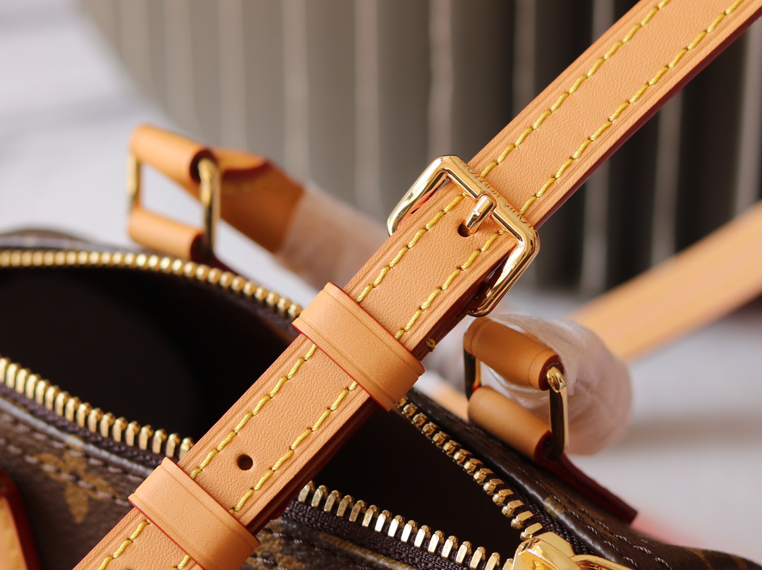 Louis Vuitton Nano Speedy Monogram Canvas Crossbody Bag - Image 7