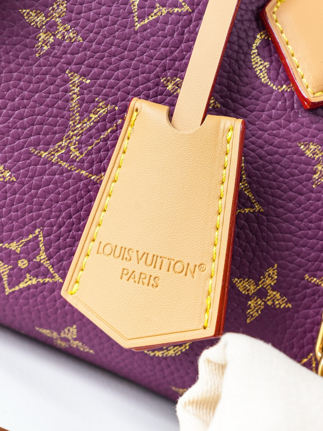 Speedy Bandoulière 20 Handbag - Image 7