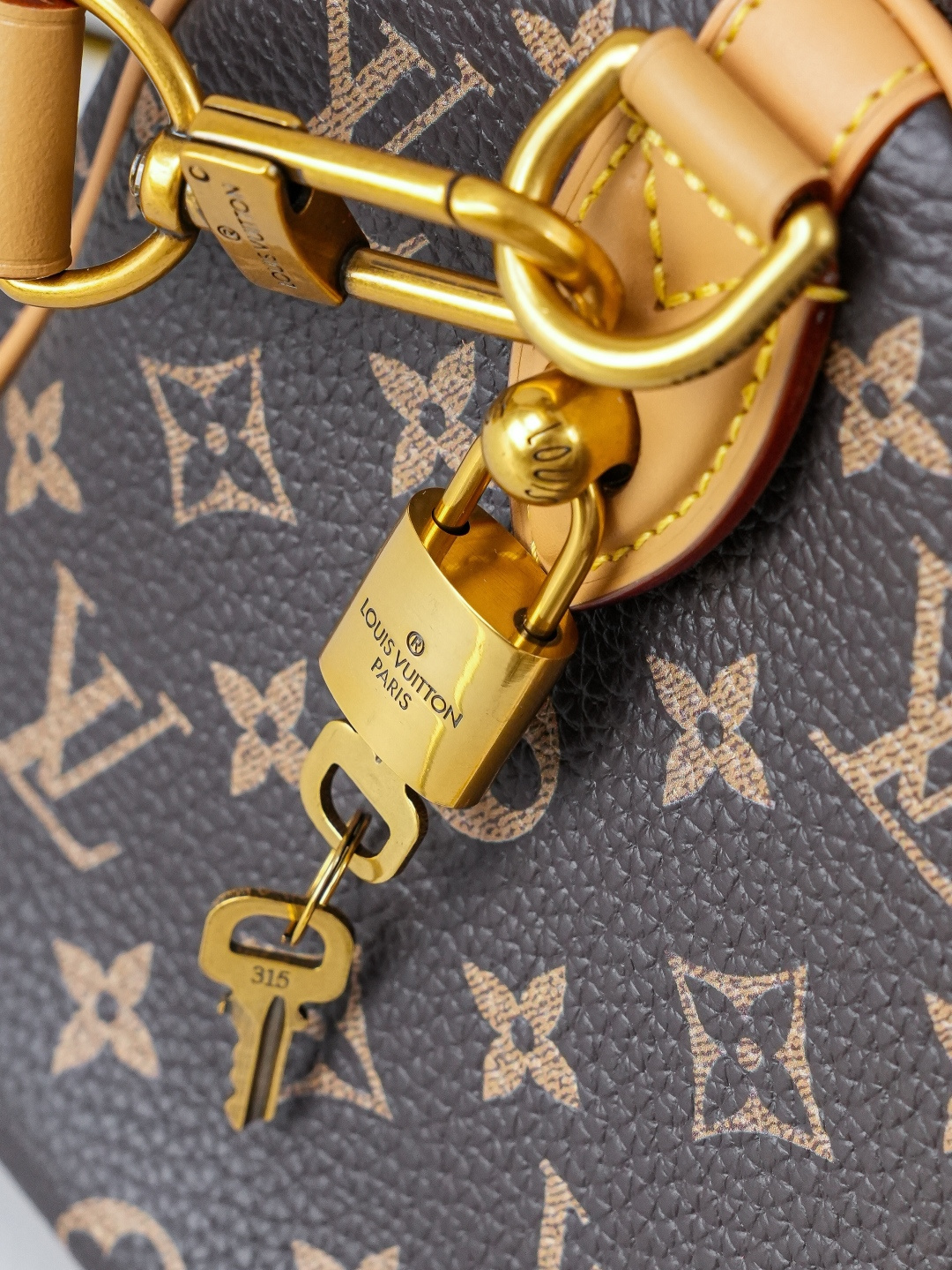 Louis Vuitton Speedy Bandoulière 25 Monogram Leather Handbag - Image 7