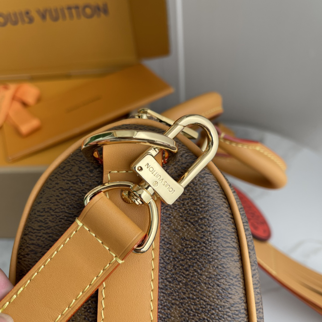 Louis Vuitton Keepall Bandouliere 25 Monogram Dust Bag - Image 7