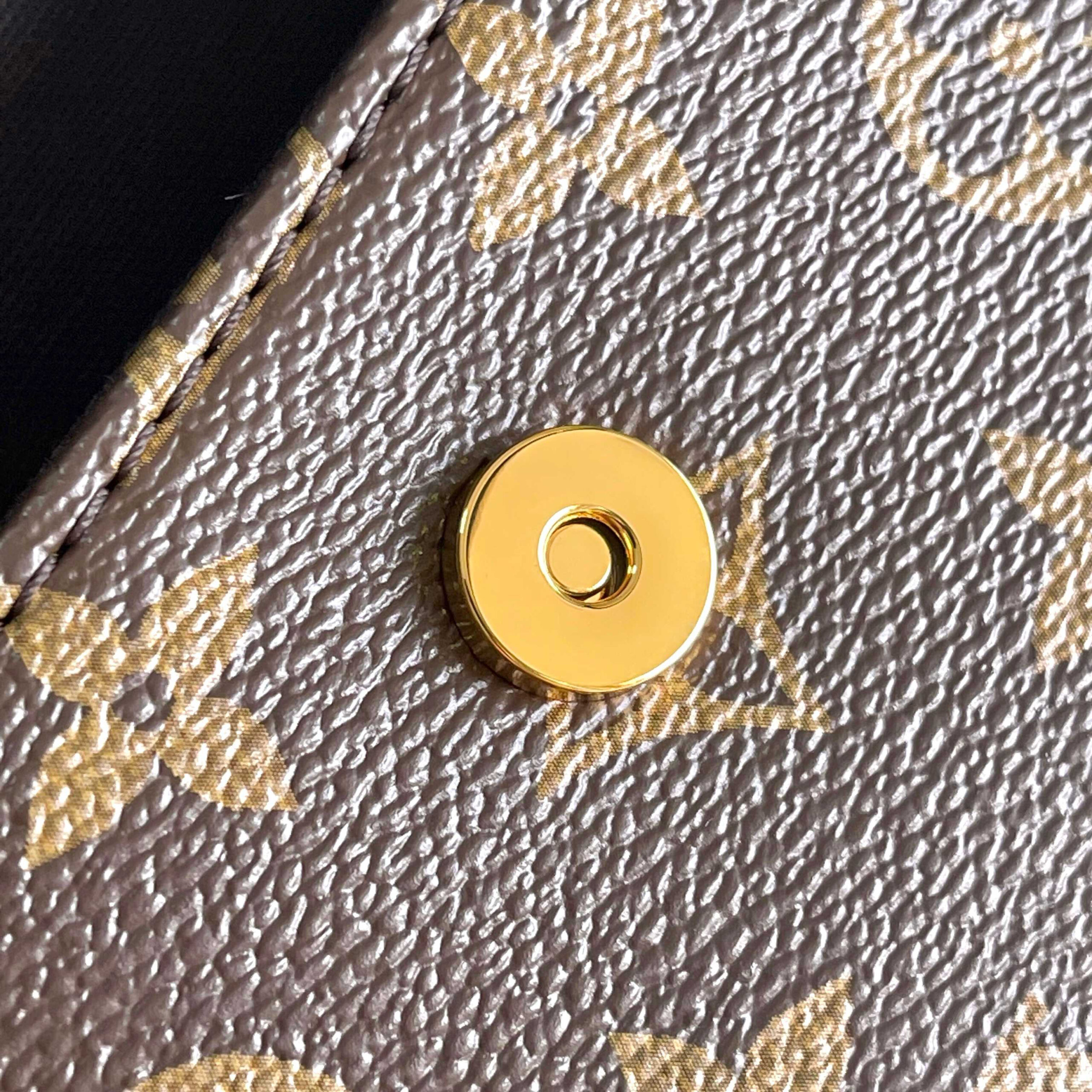 Louis Vuitton Wallet On Chain Ivy in Monogram Reverse Canvas - Image 7