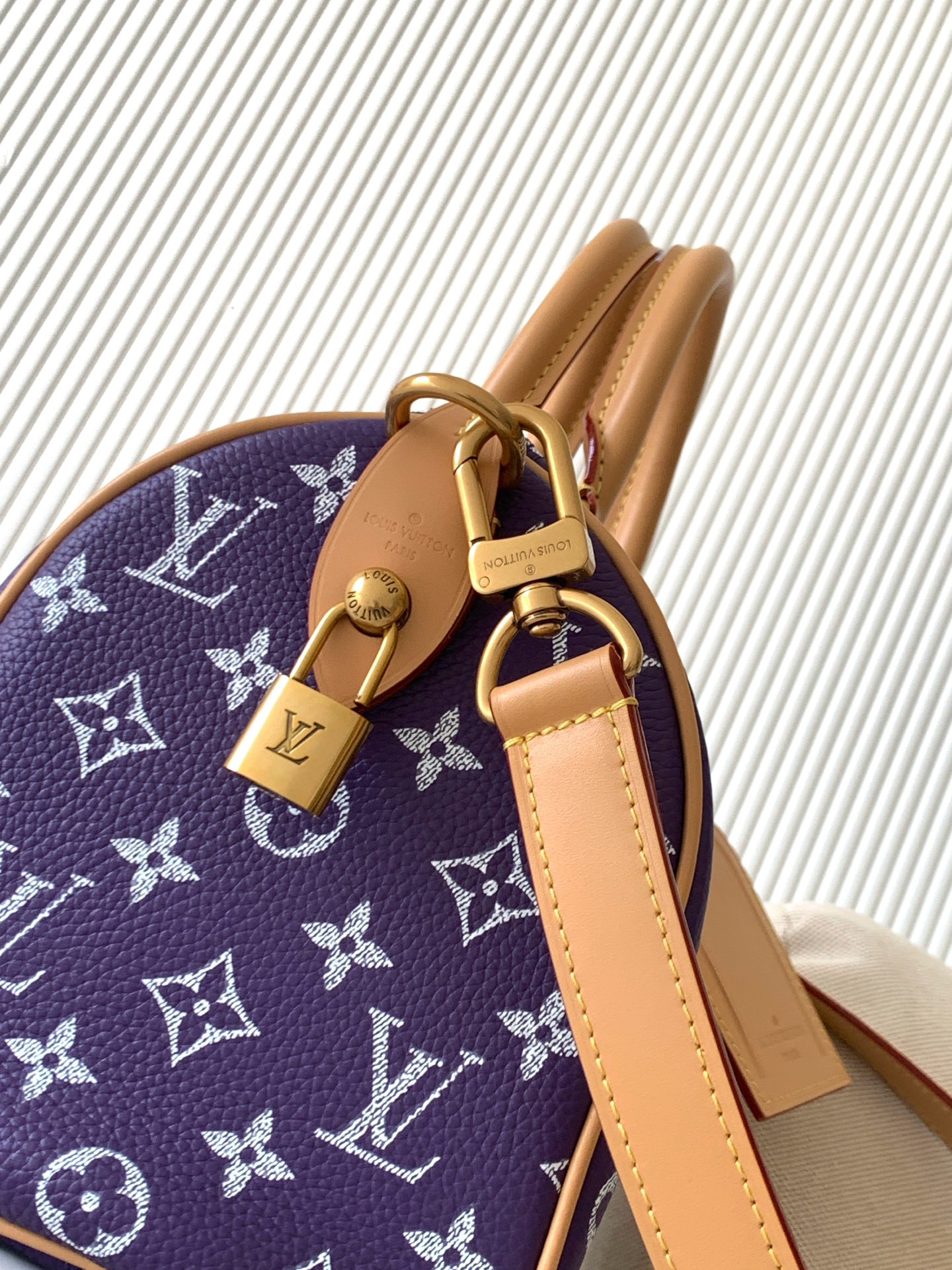 Louis Vuitton Speedy Bandoulière 25 Handbag - Image 7