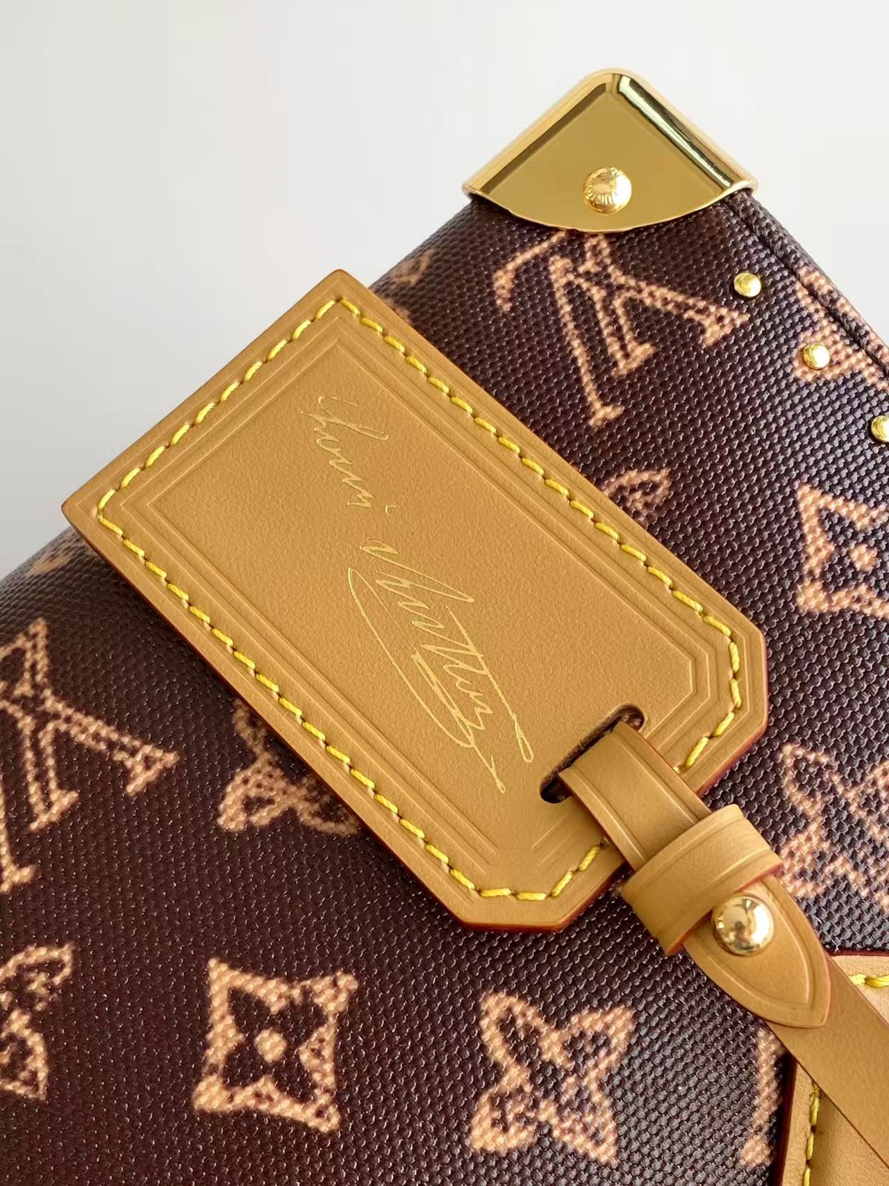 Louis Vuitton Speedy Trunk 20 Crossbody Bag - Image 7