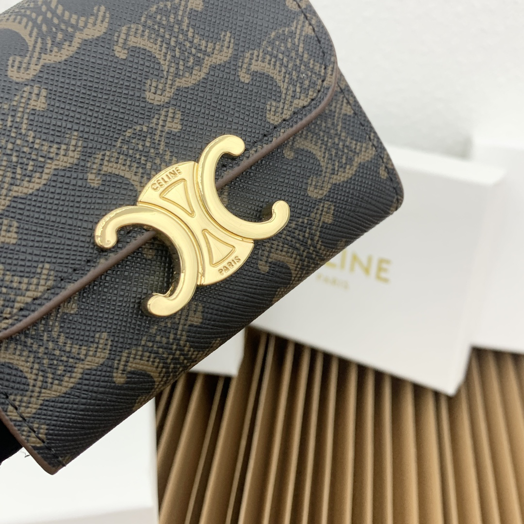 Celine Triomphe Canvas Small Leather Wallet - Image 7