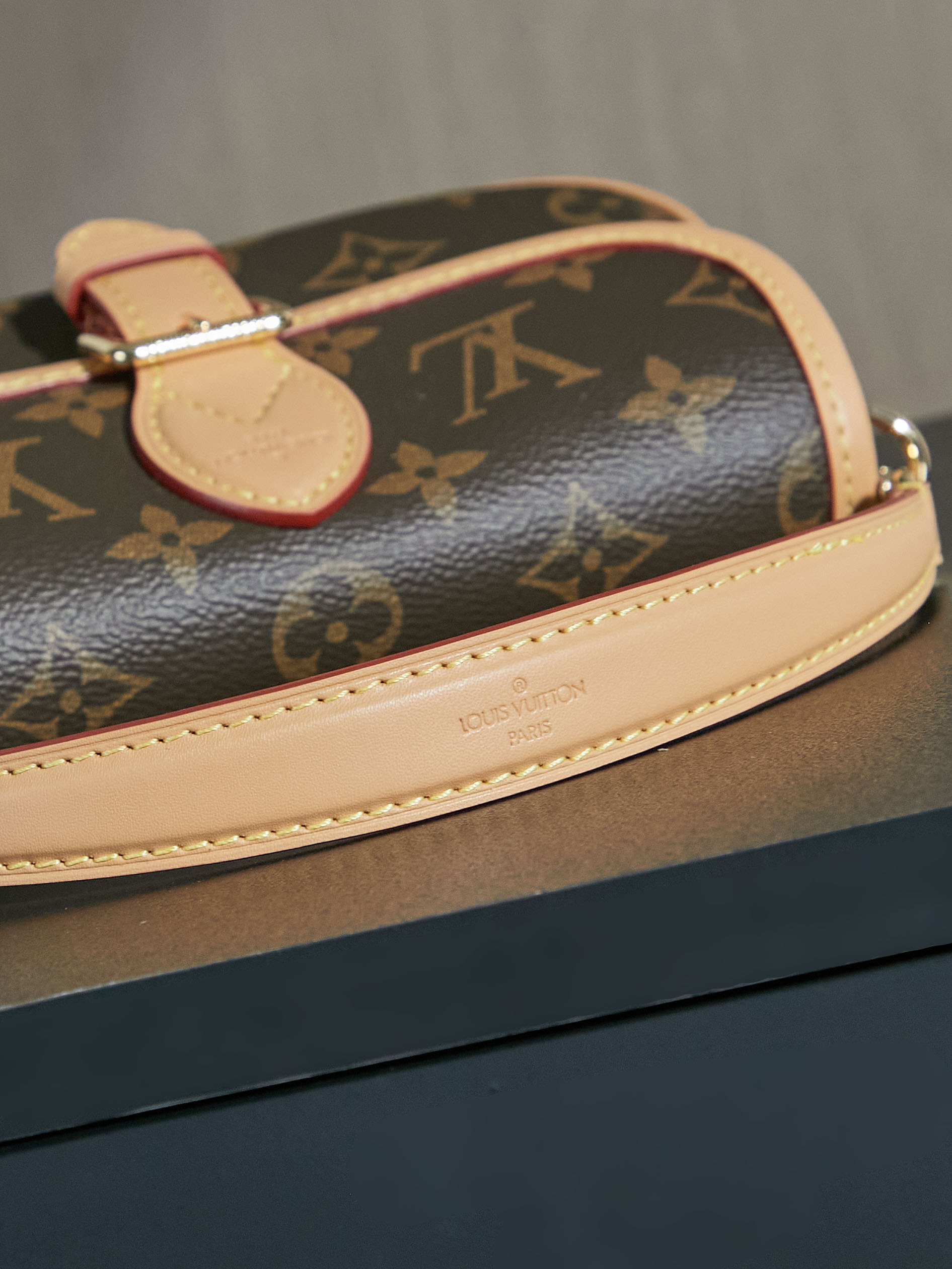 Louis Vuitton Nano Diane Handbag - Image 7