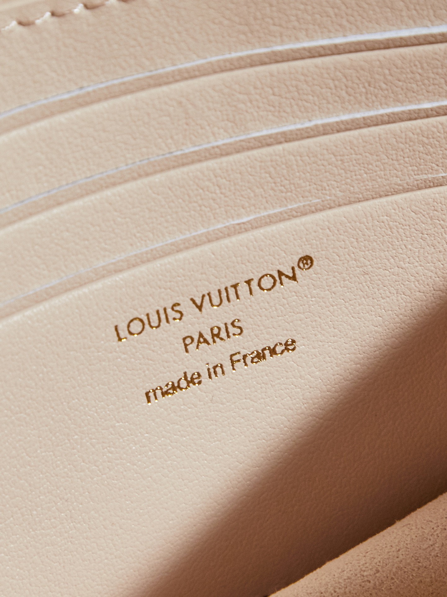 Louis Vuitton LV Bloom Wallet on Chain Bag - Image 7