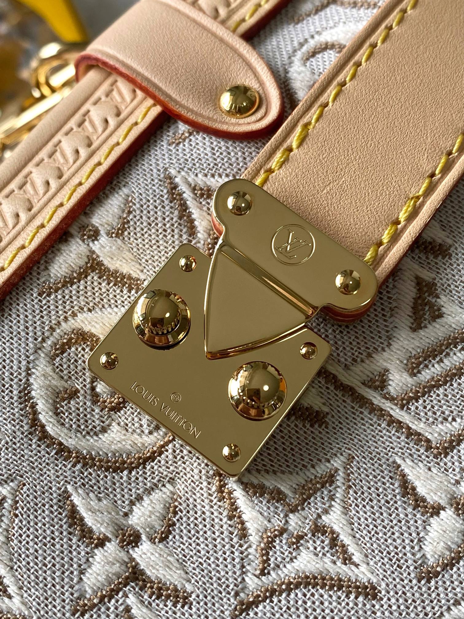 Louis Vuitton Side Trunk Medium Shoulder Bag - Image 7