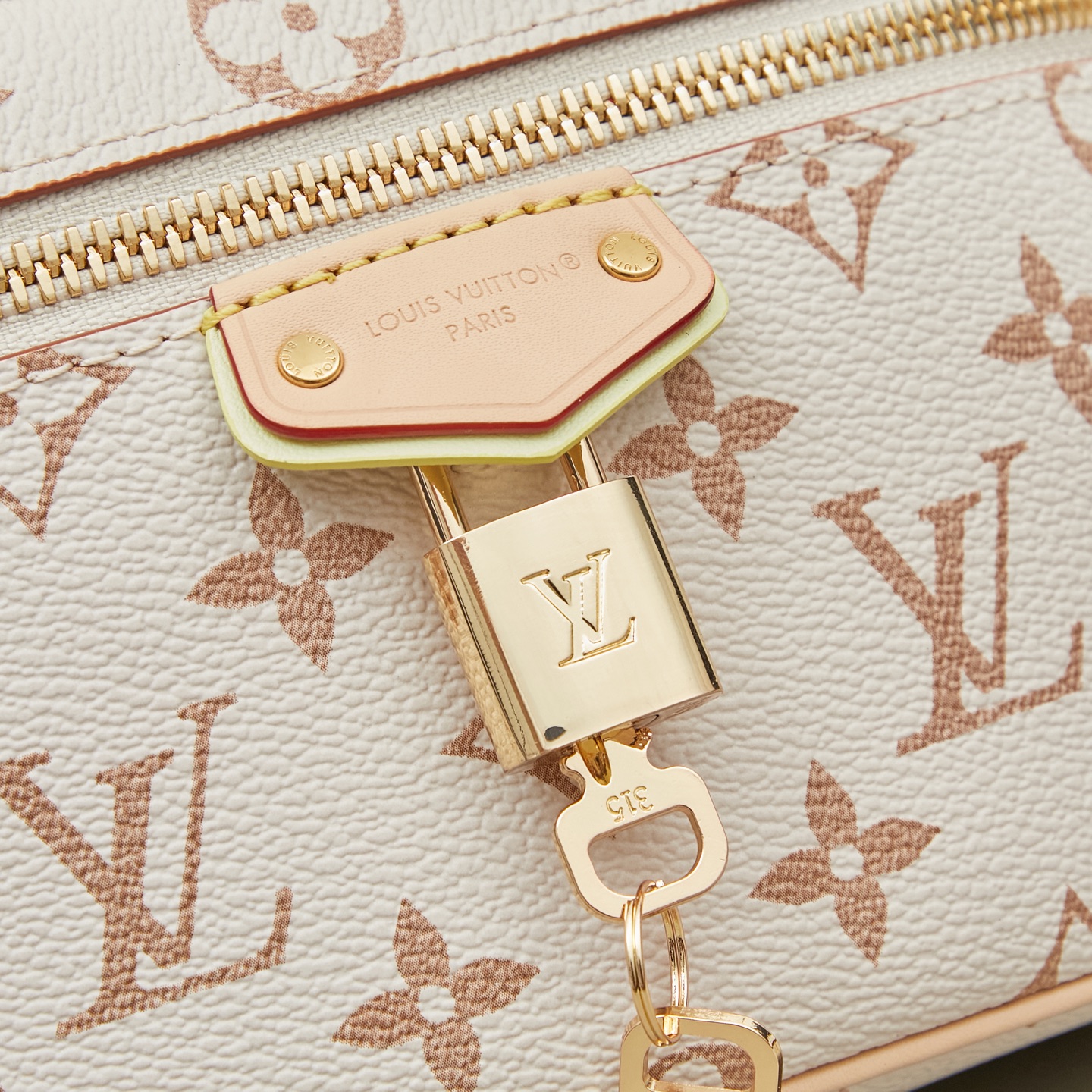 Louis Vuitton M29782 Vanity Chain Pouch – LV Crafty Monogram Dune - Image 7