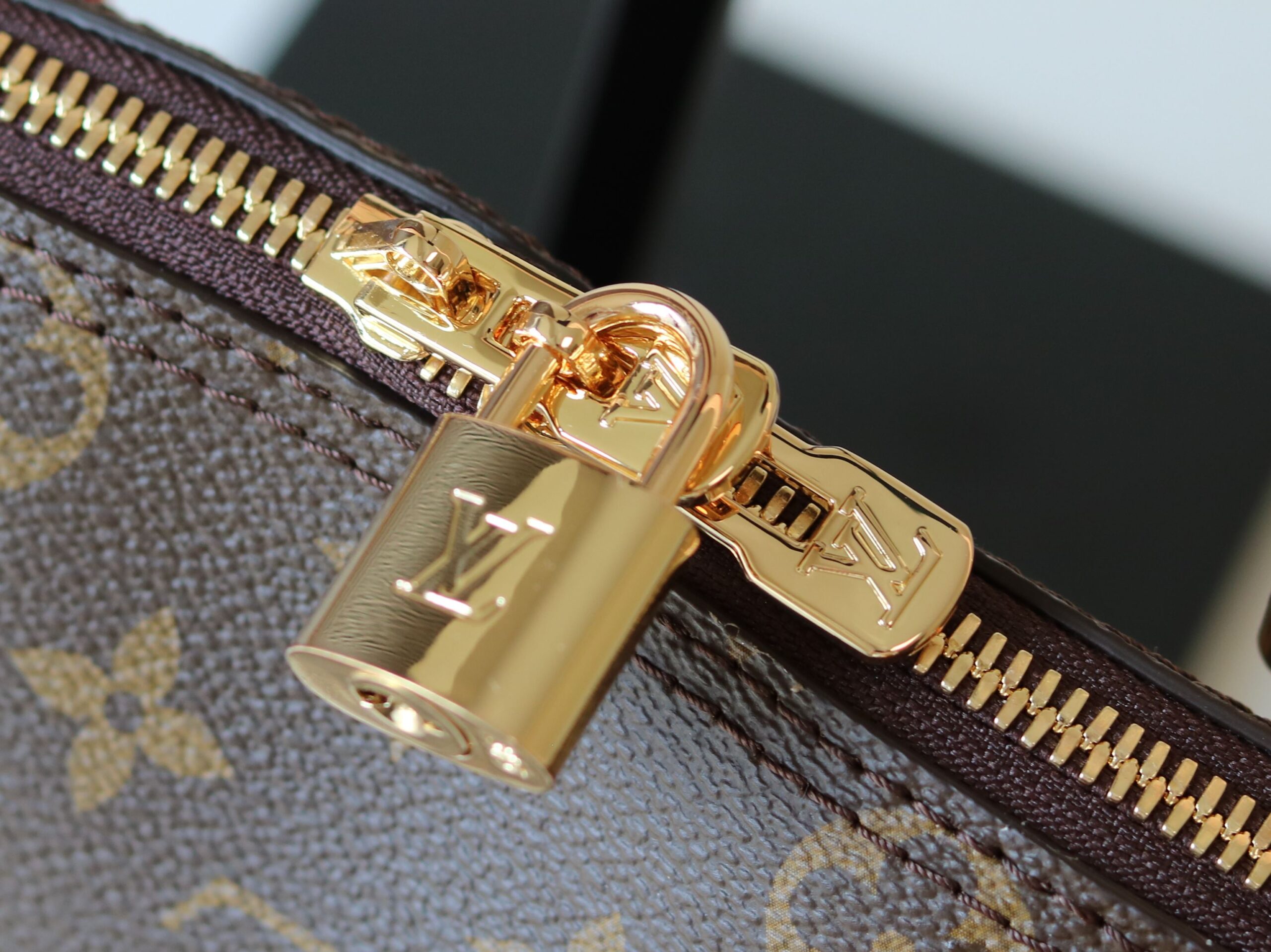 Squire Handbag in Monogram Canvas - Image 7
