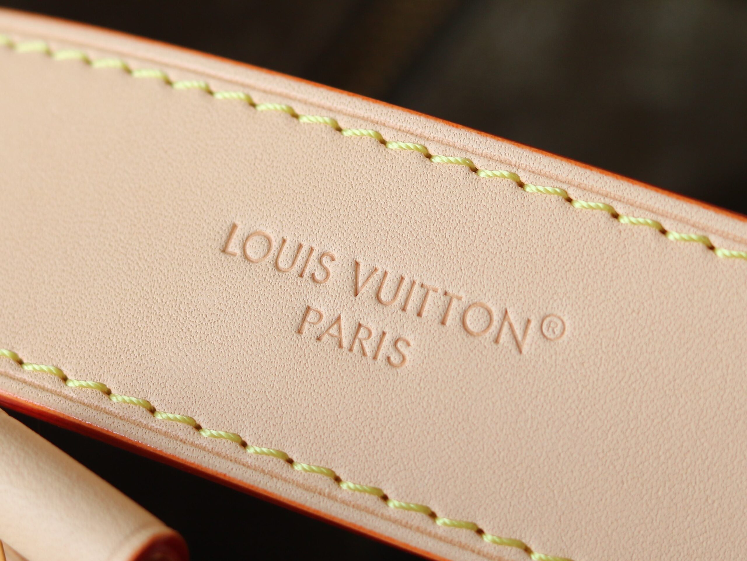 Louis Vuitton Carryall Cargo Small Handbag in Denim - Image 7