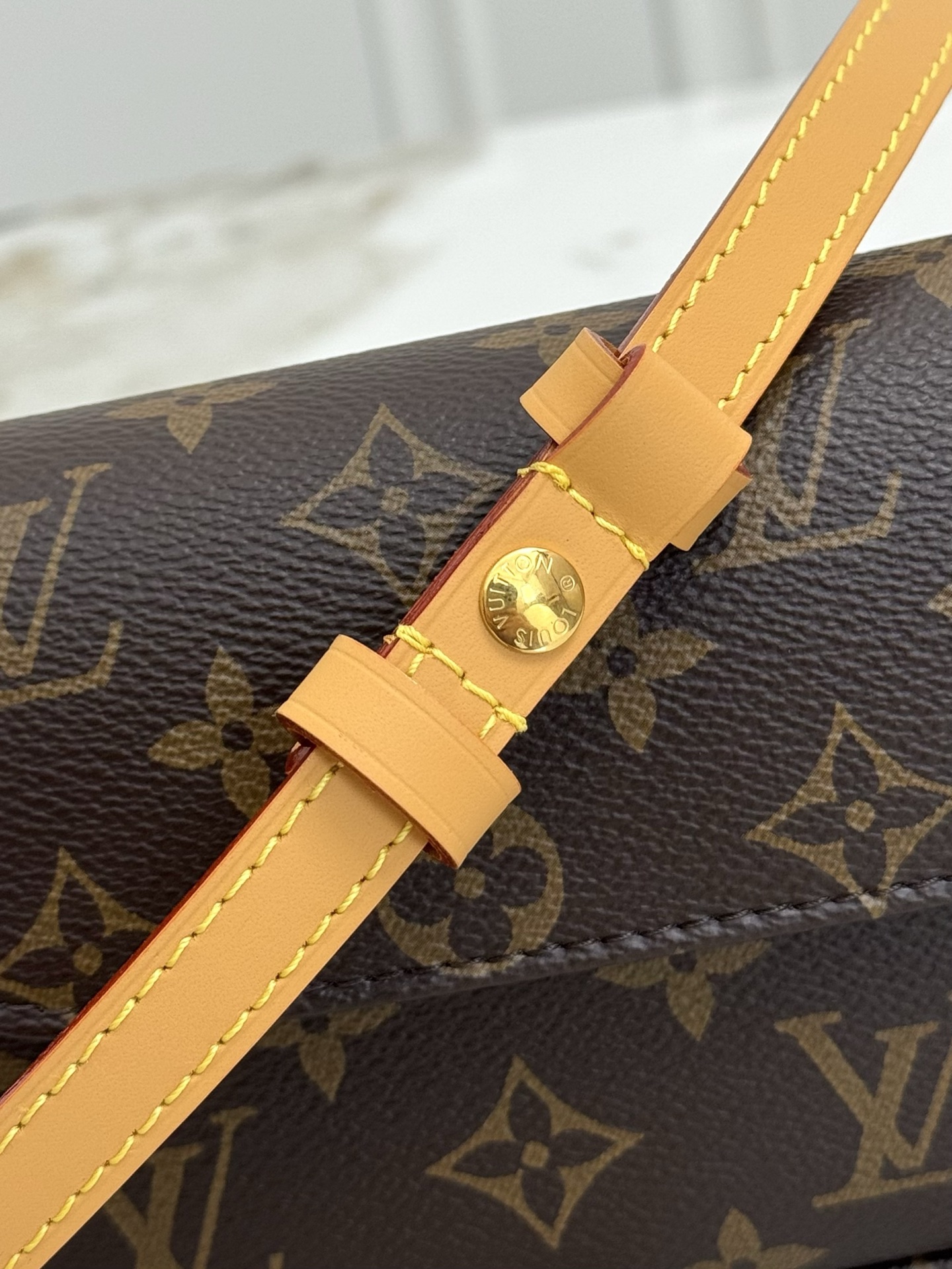 Louis Vuitton Wallet on Chain Ivy Crossbody Bag in Monogram Empreinte Leather - Image 7