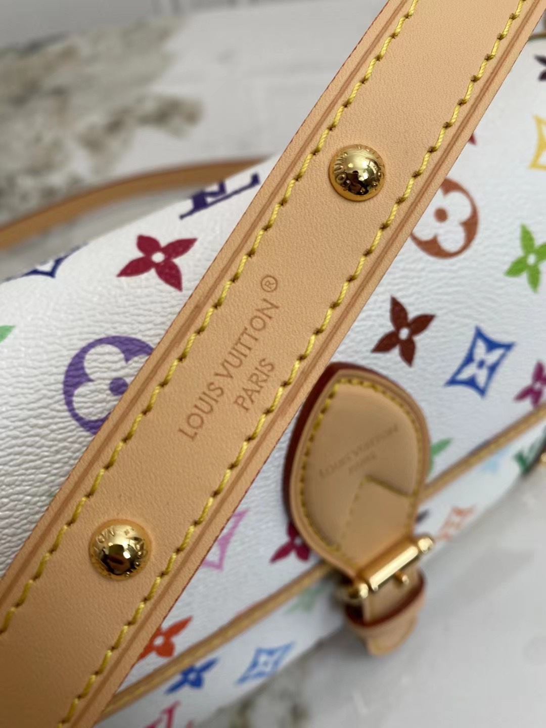 Louis Vuitton Diane Monogram Canvas Shoulder Bag - Image 7