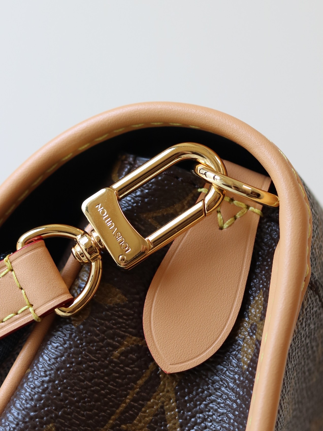 Louis Vuitton Diane Monogram Crossbody Bag - Image 7