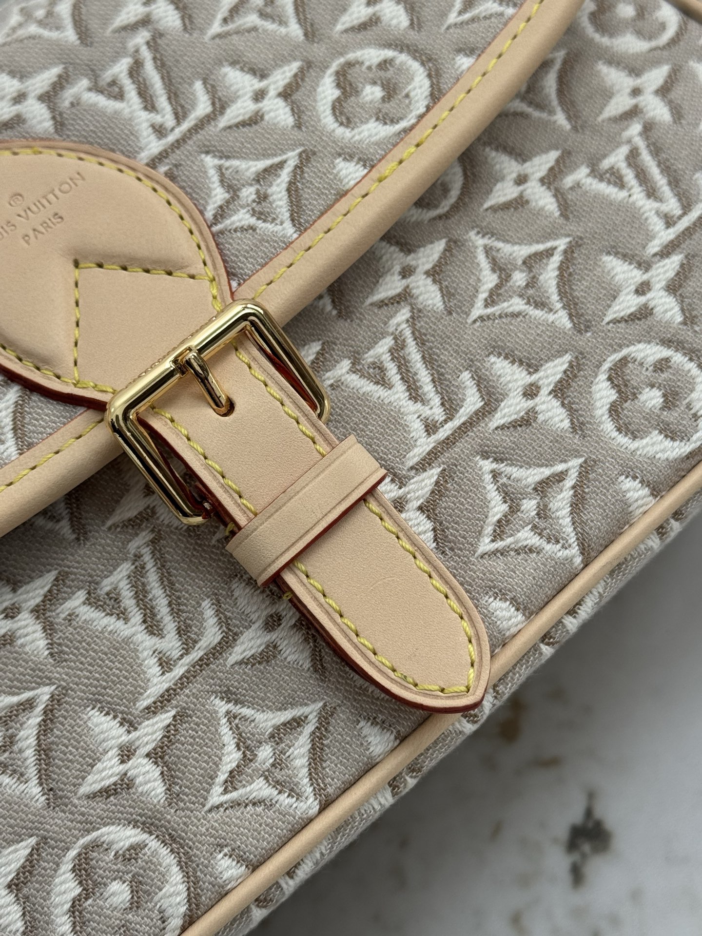 Diane Monogram Denim Crossbody Bag - Image 7