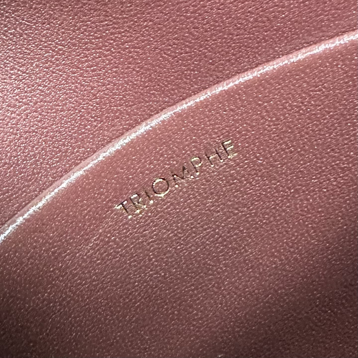 Celine Teen Triomphe Shoulder Bag in Bordeaux with Gold-Tone Hardware - Image 8