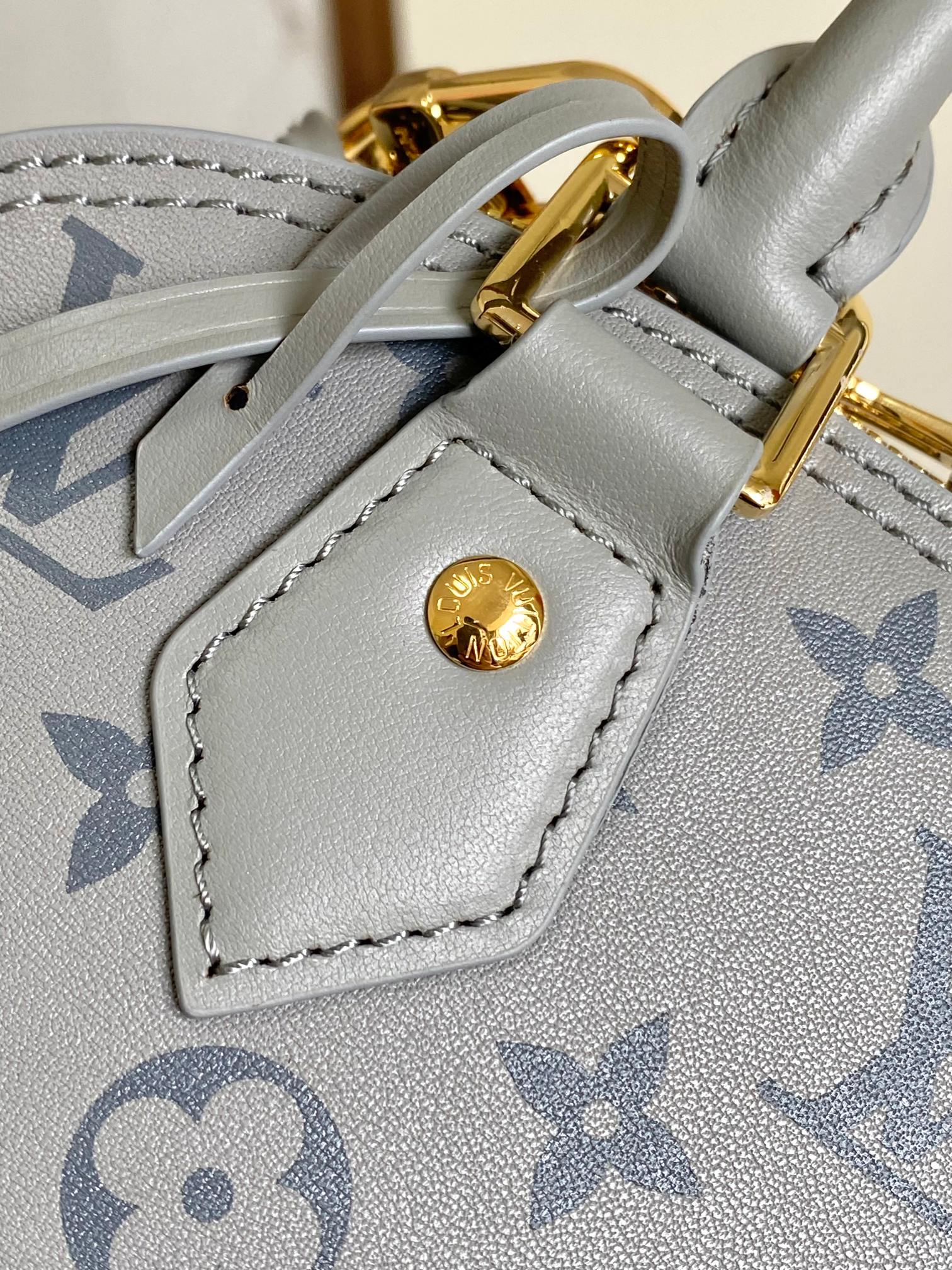 Louis Vuitton Alma BB Monogram Ink Handbag - Image 8