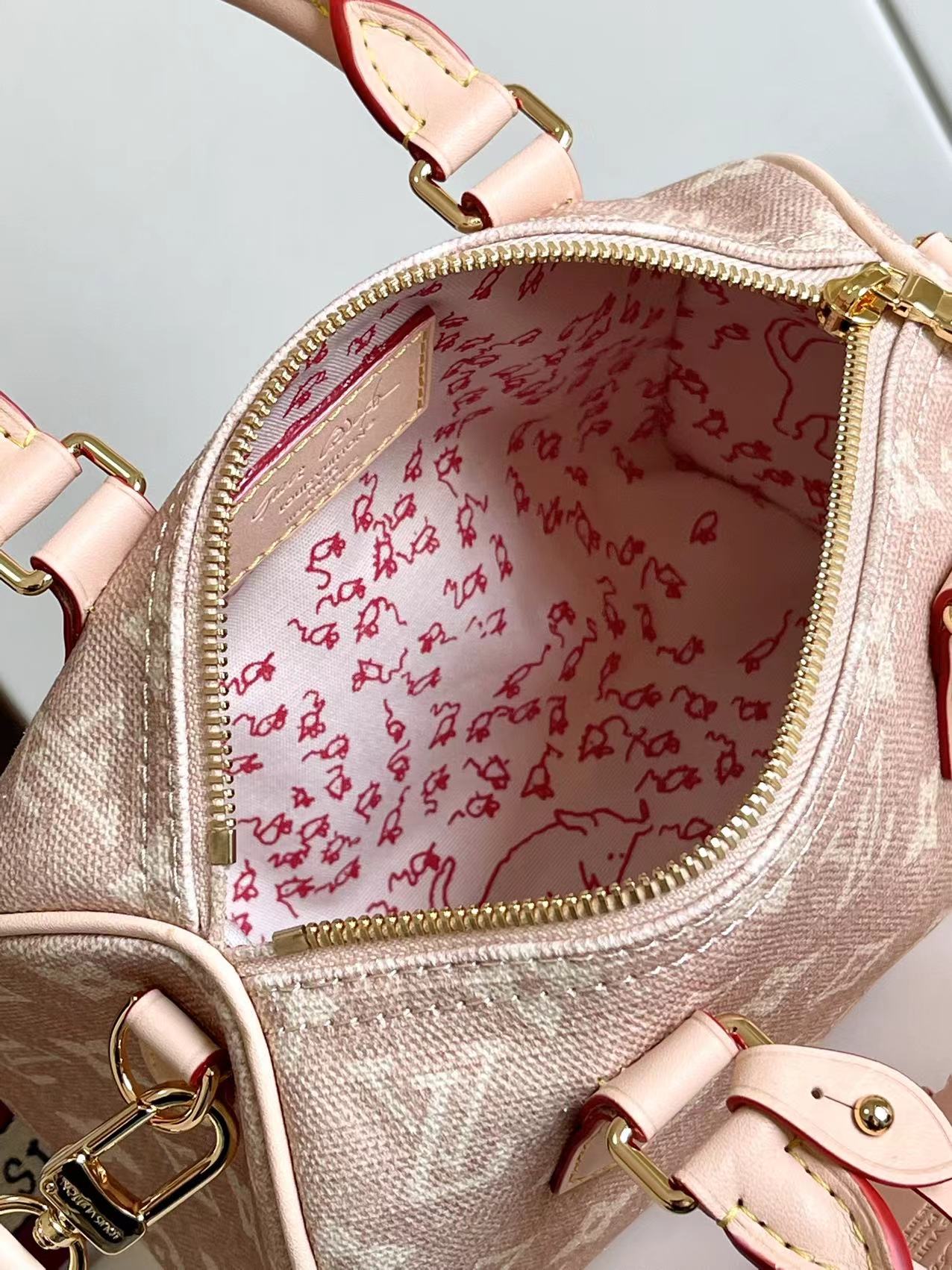 Louis Vuitton Speedy 20 Bandoulière Crossbody Bag in Meowgram Canvas - Image 8